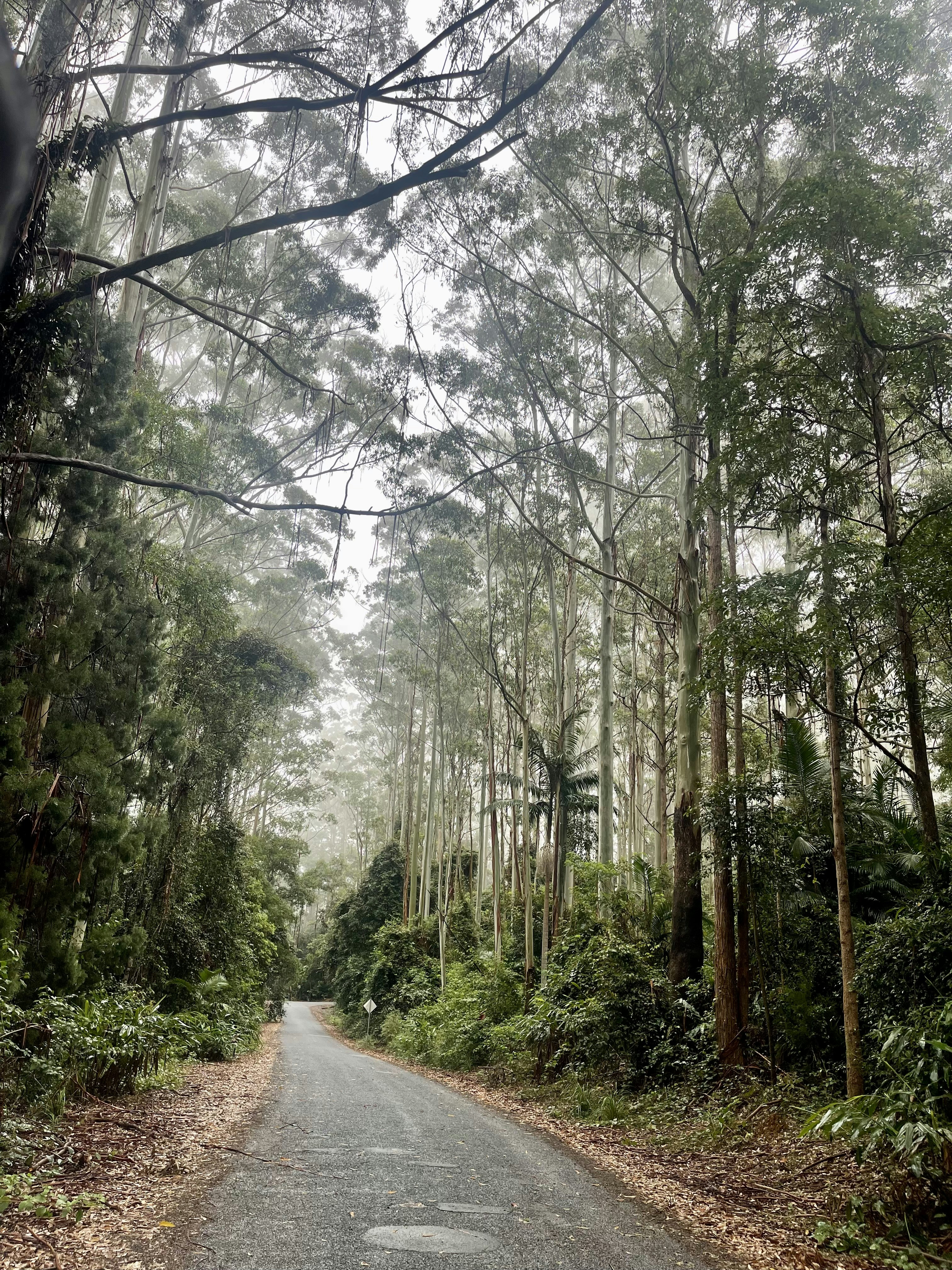 Photo by the_afternoon_photographer