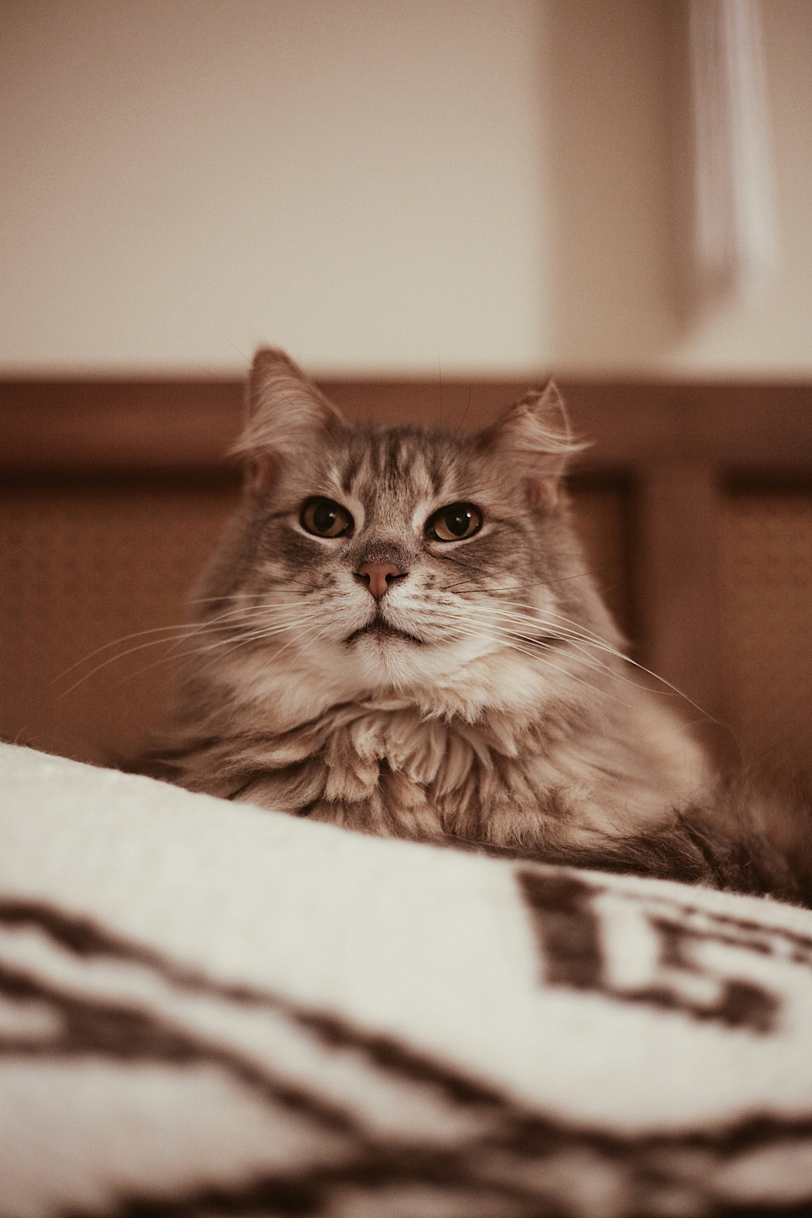 Photo by earthtokarly