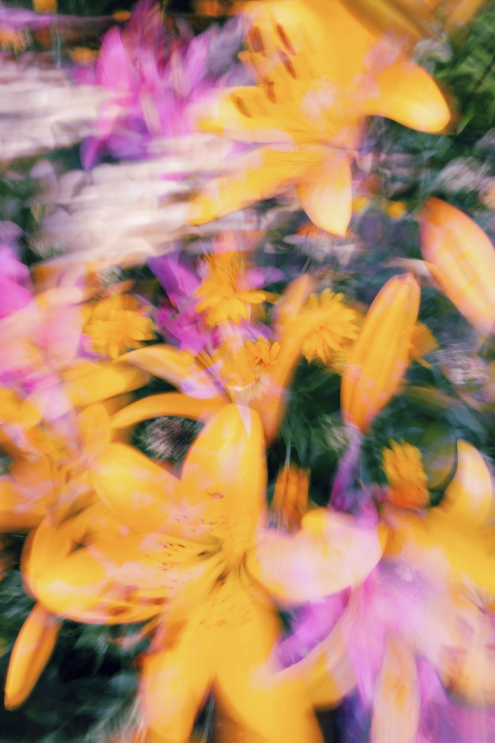 a blurry photo of yellow and purple flowers