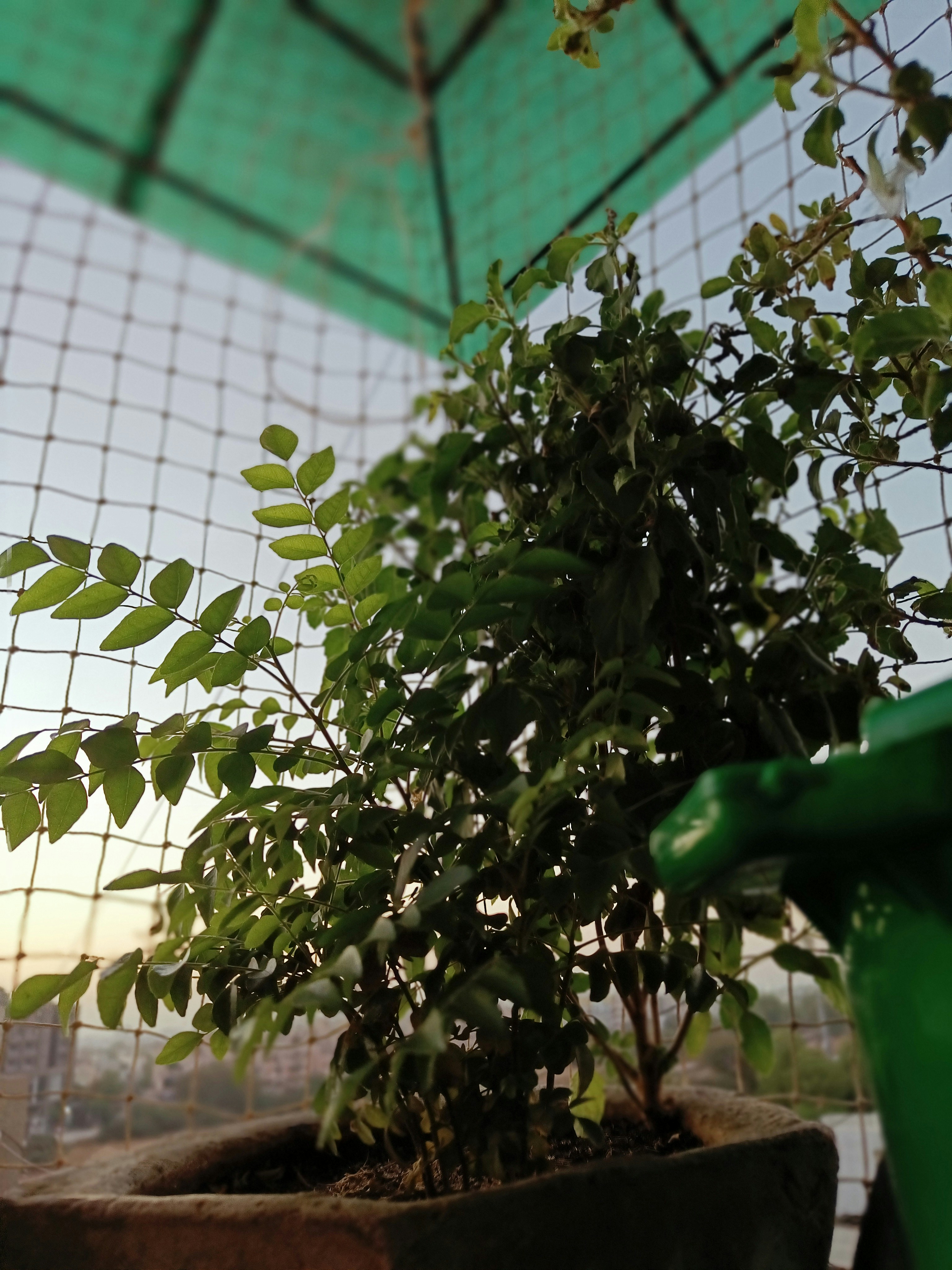 Photo by marcellusku283