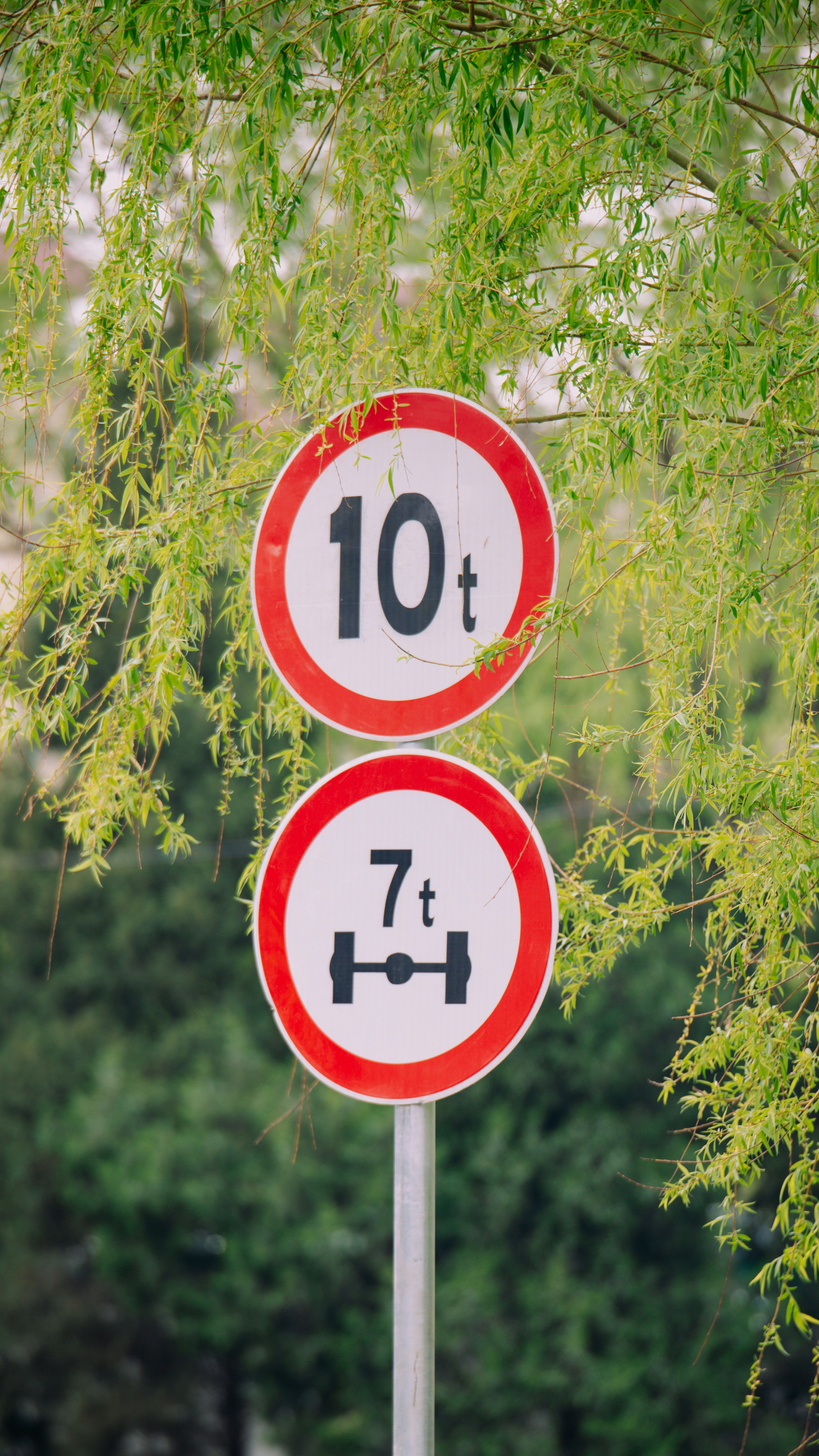 11 Directory Submission Tips for Increasing Organic Traffic