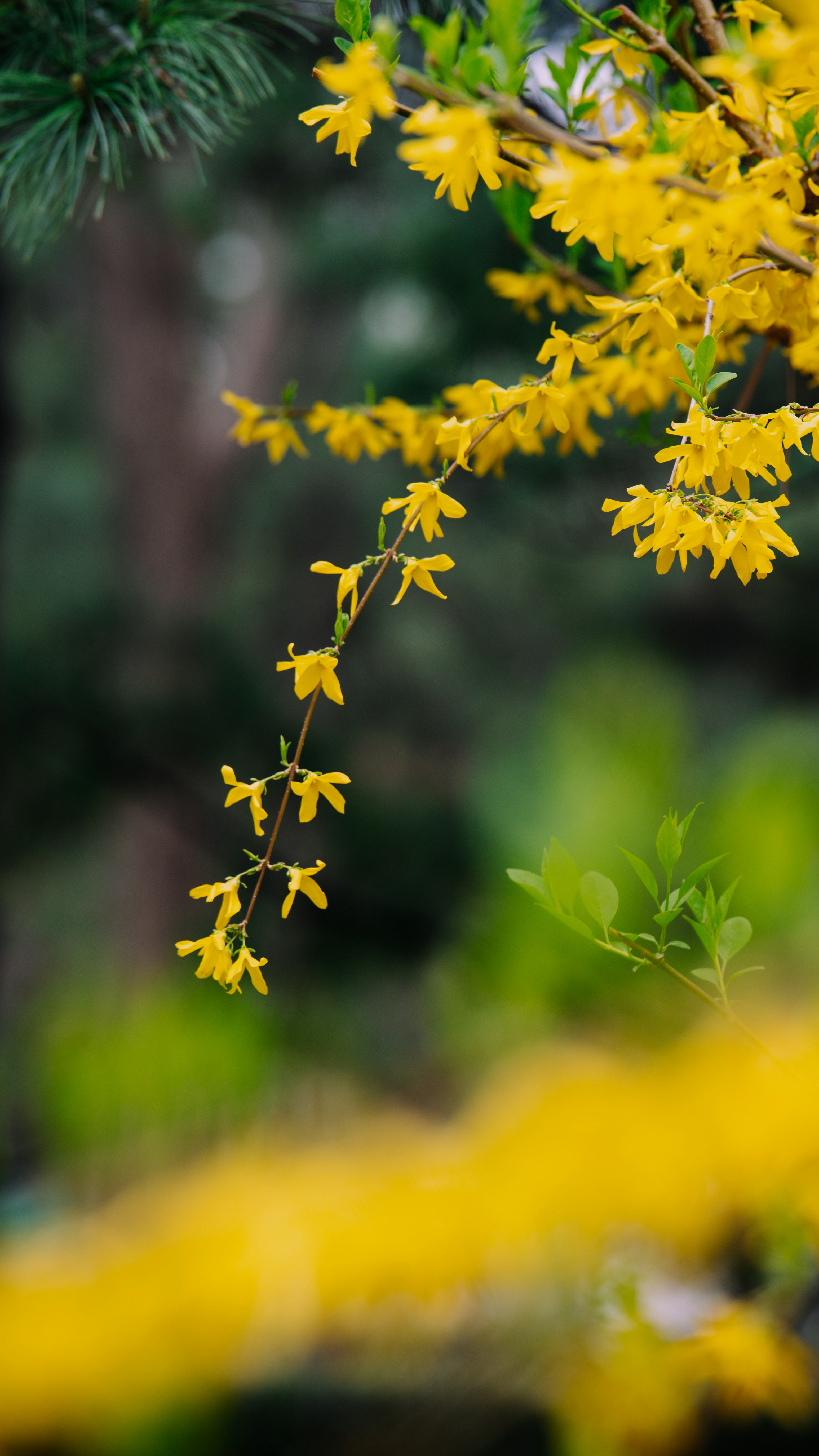 Photo by peek_a_boo_who