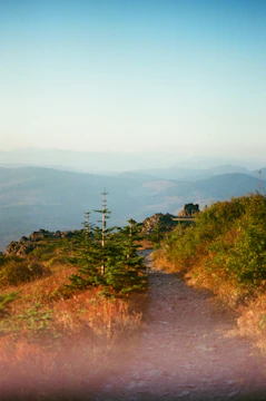 A winding mountain trail bathed in early morning light, inviting exploration.