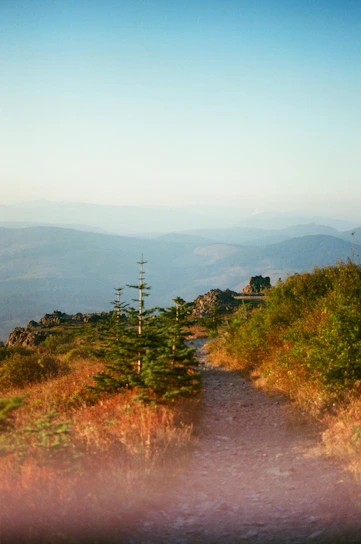 A vibrant photo of a winding mountain trail bathed in golden sunlight, inviting exploration.