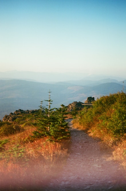 A vibrant photo of a winding mountain trail bathed in golden sunlight, inviting travelers to explore.