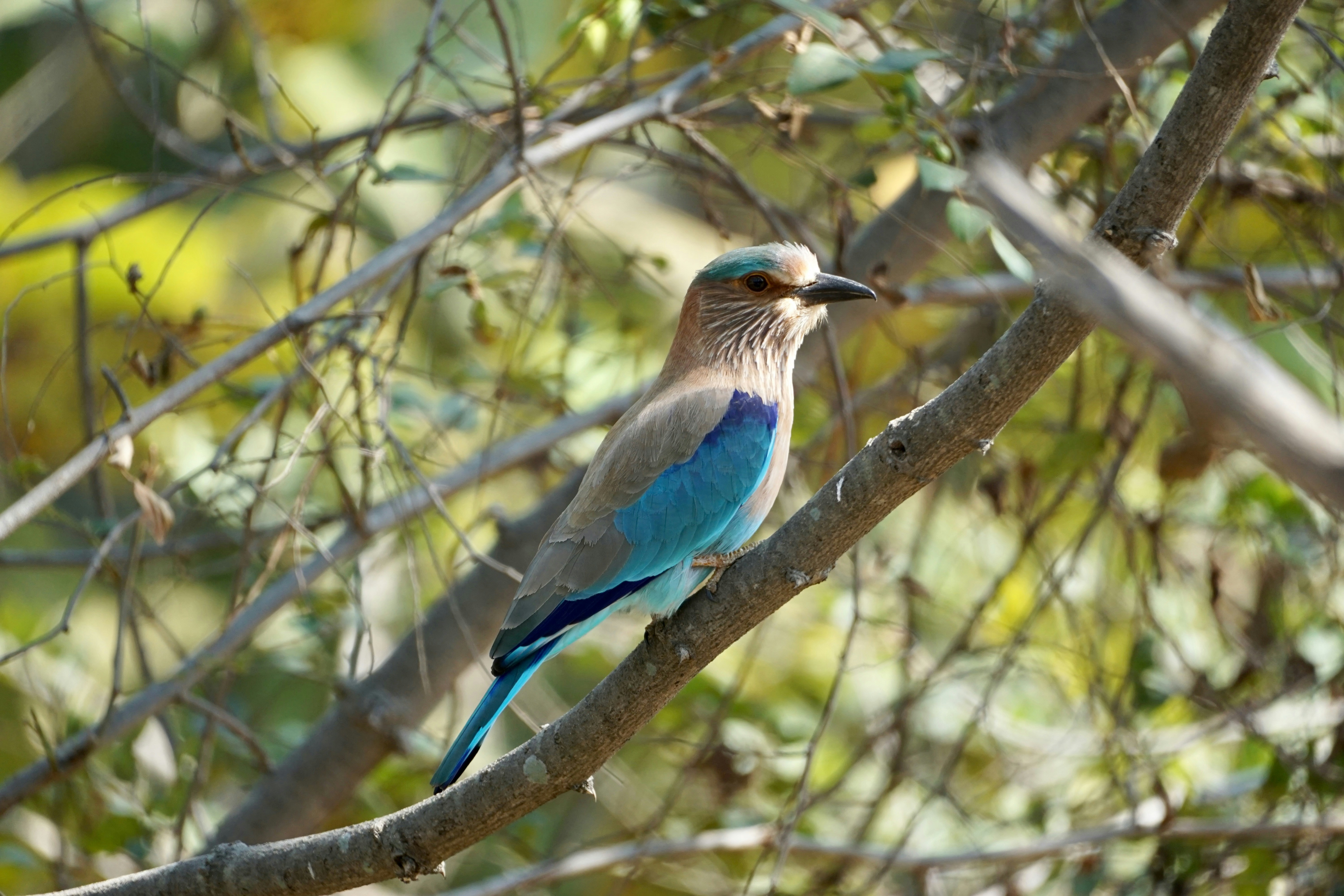 Photo by aryatulsyan