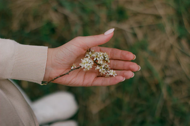 Close-up of delicate hands holding a blooming olive branch against a beige linen background