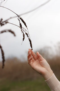 Hands gently picking wild herbs among rocky Sardinian hills under a clear blue sky.
