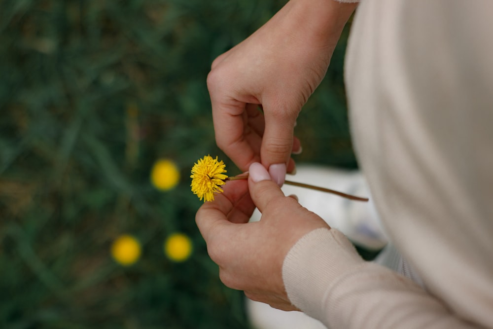 a person holding a yellow flower in their hand