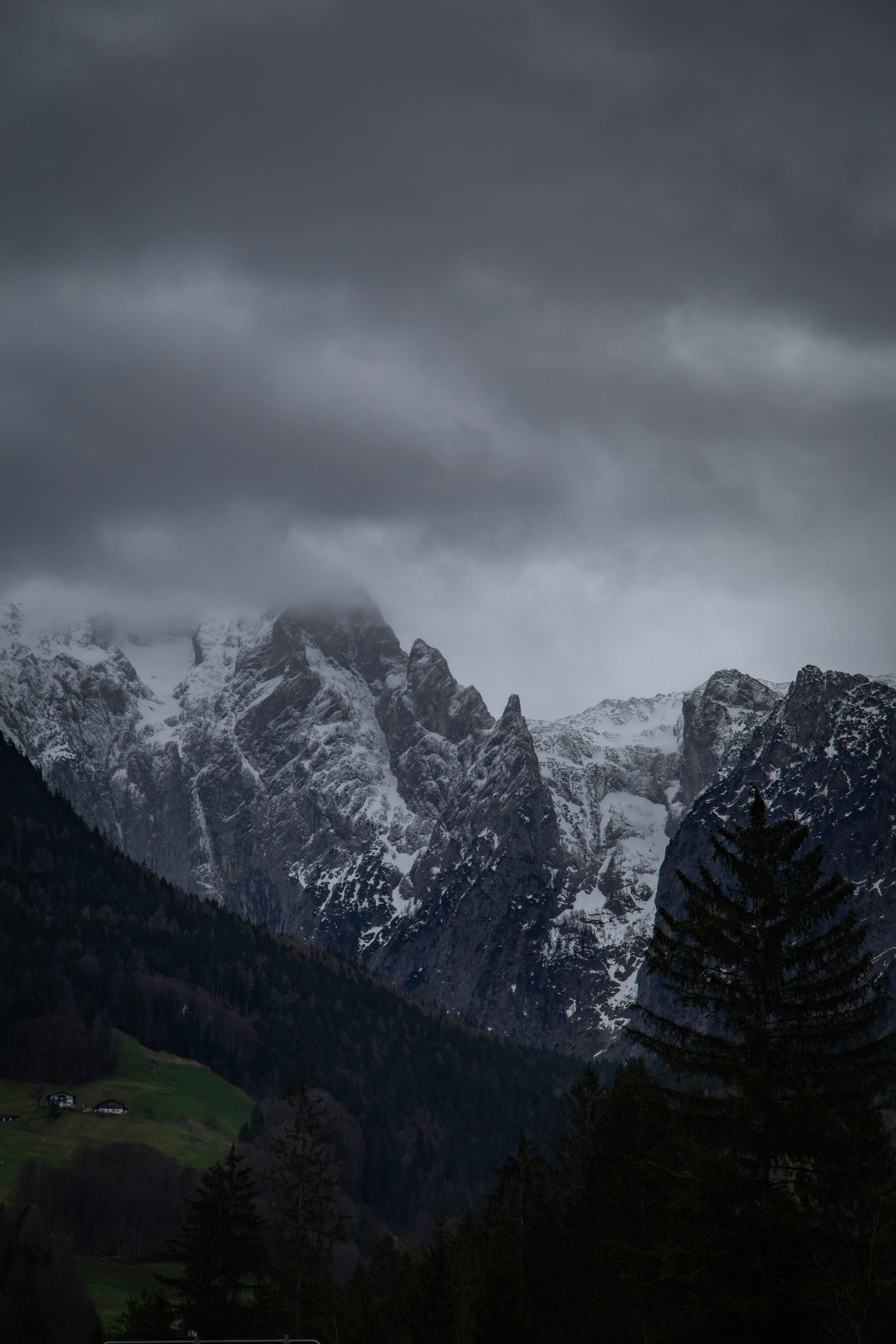 Photo by erik_ada