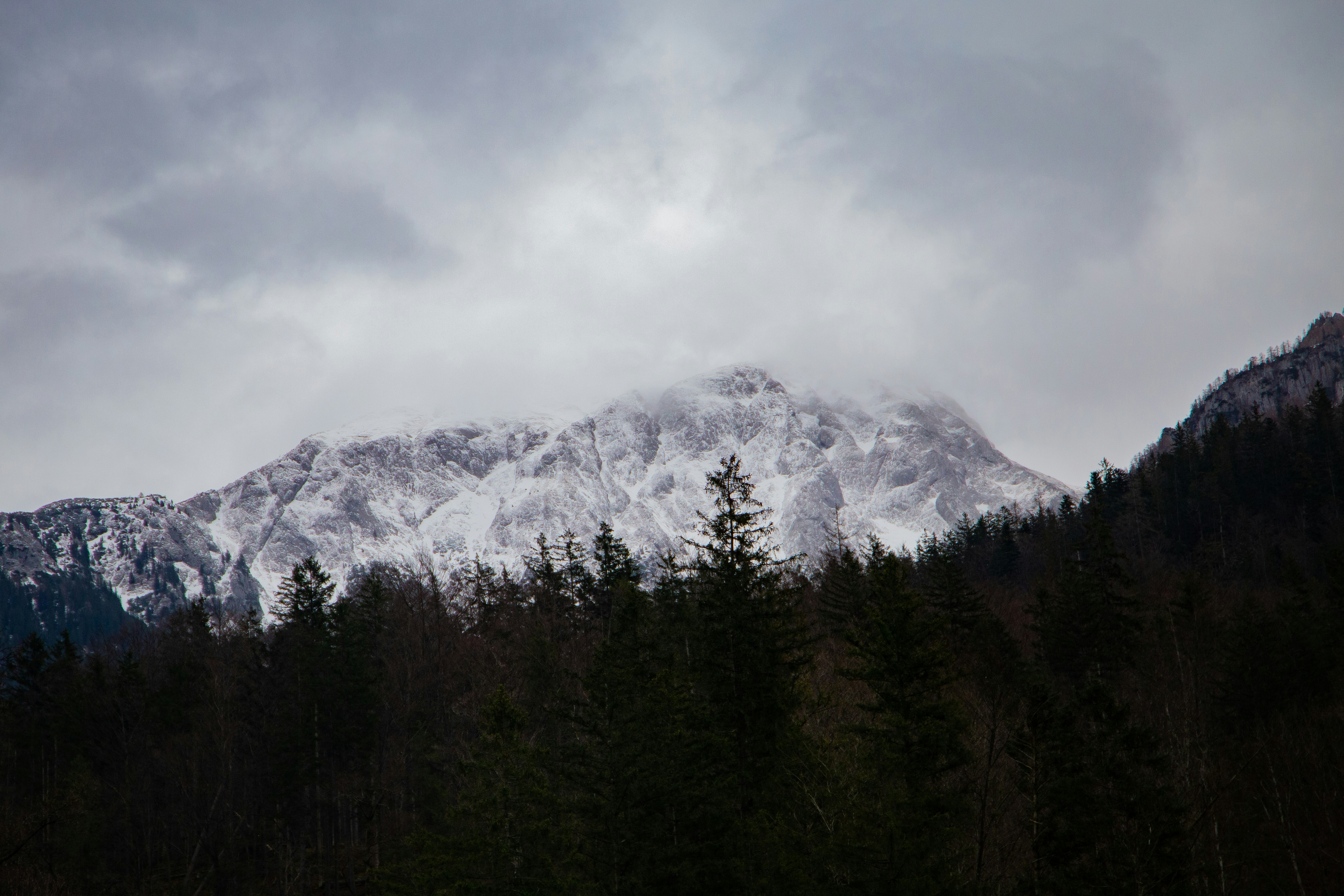 Photo by erik_ada