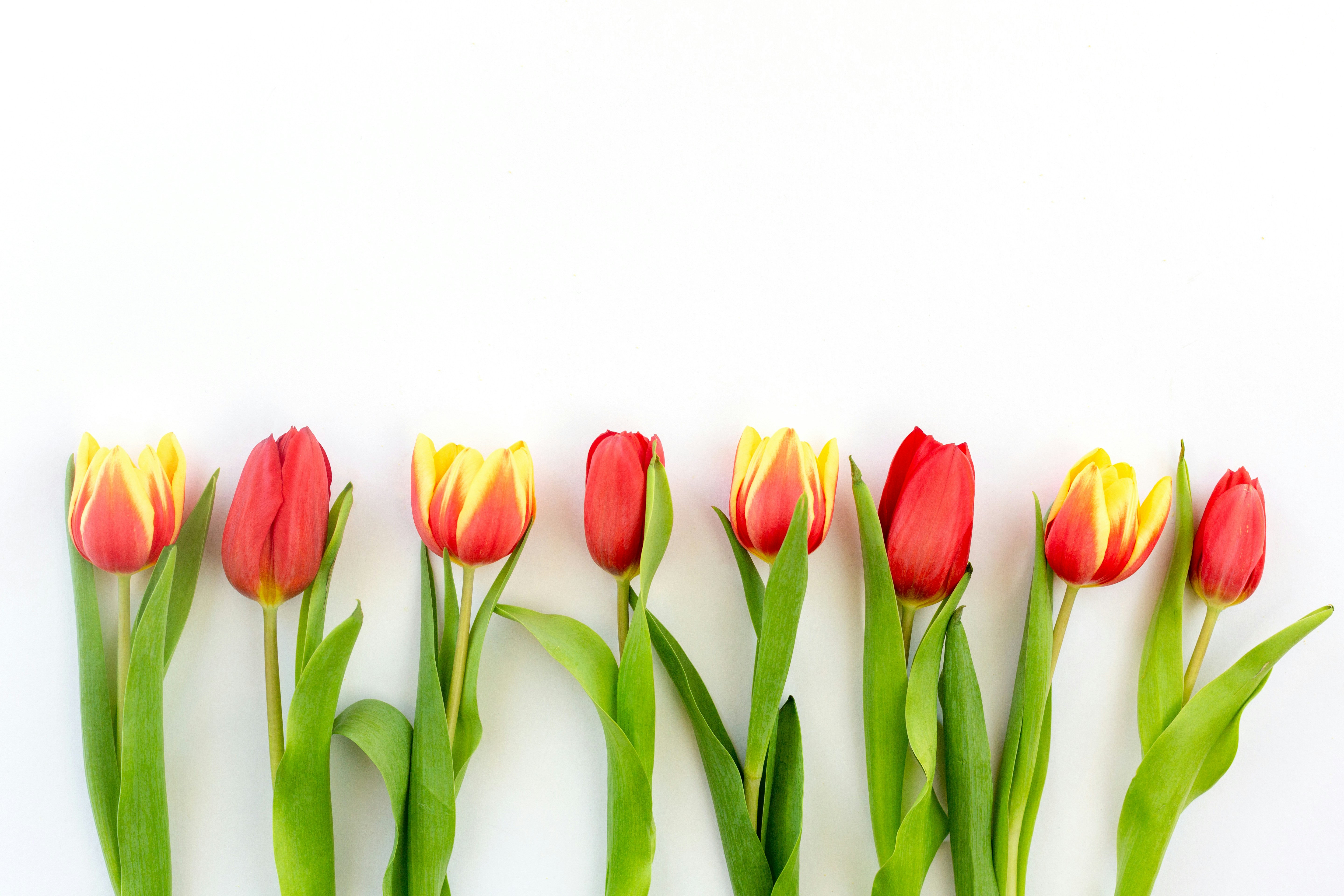 Photo by nataliekinnear