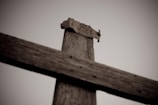Close-up of a weathered cross carved into wood, representing steadfast devotion.