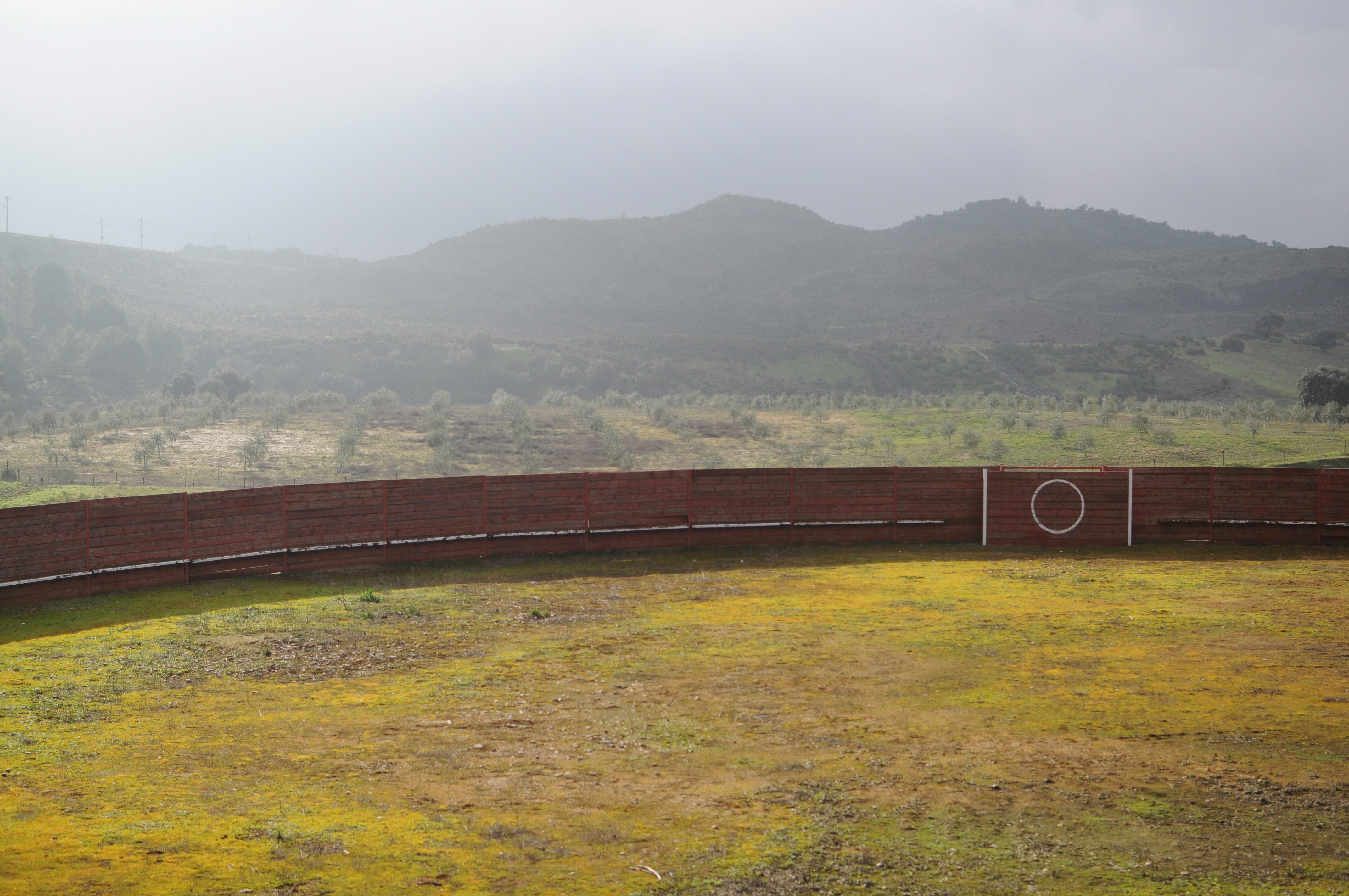 Photo by tonicastillo