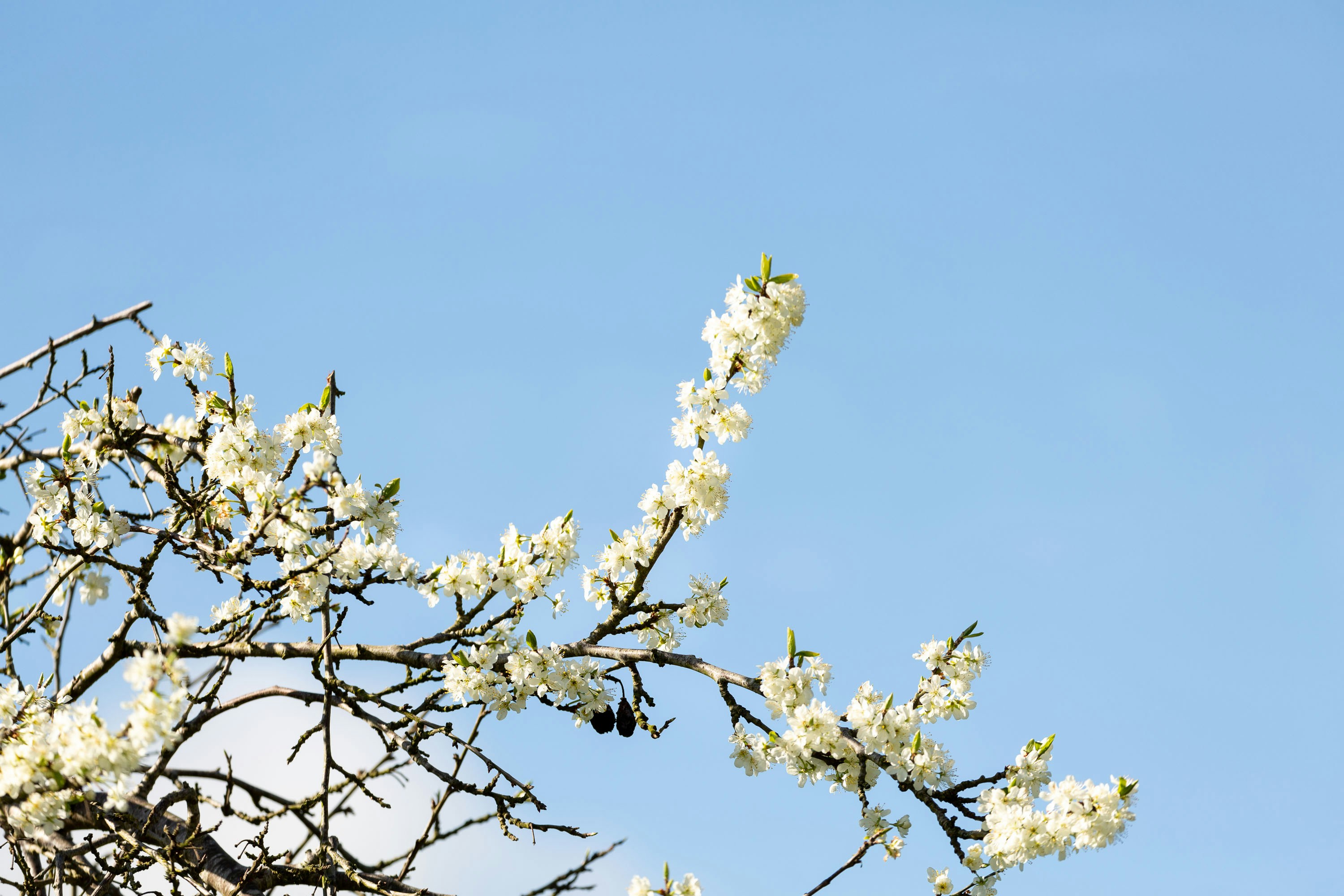 Photo by itscakefortea