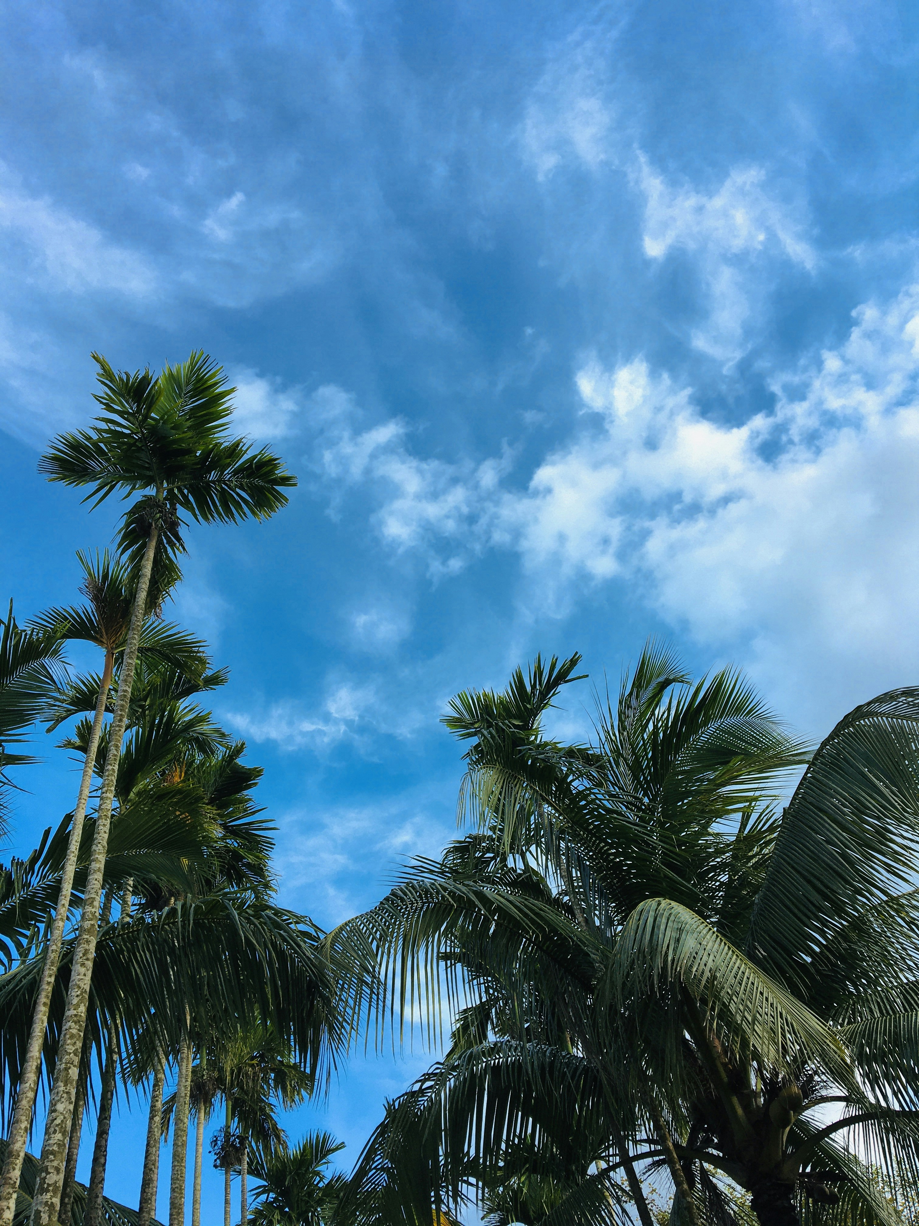 Photo by muhammad_bd