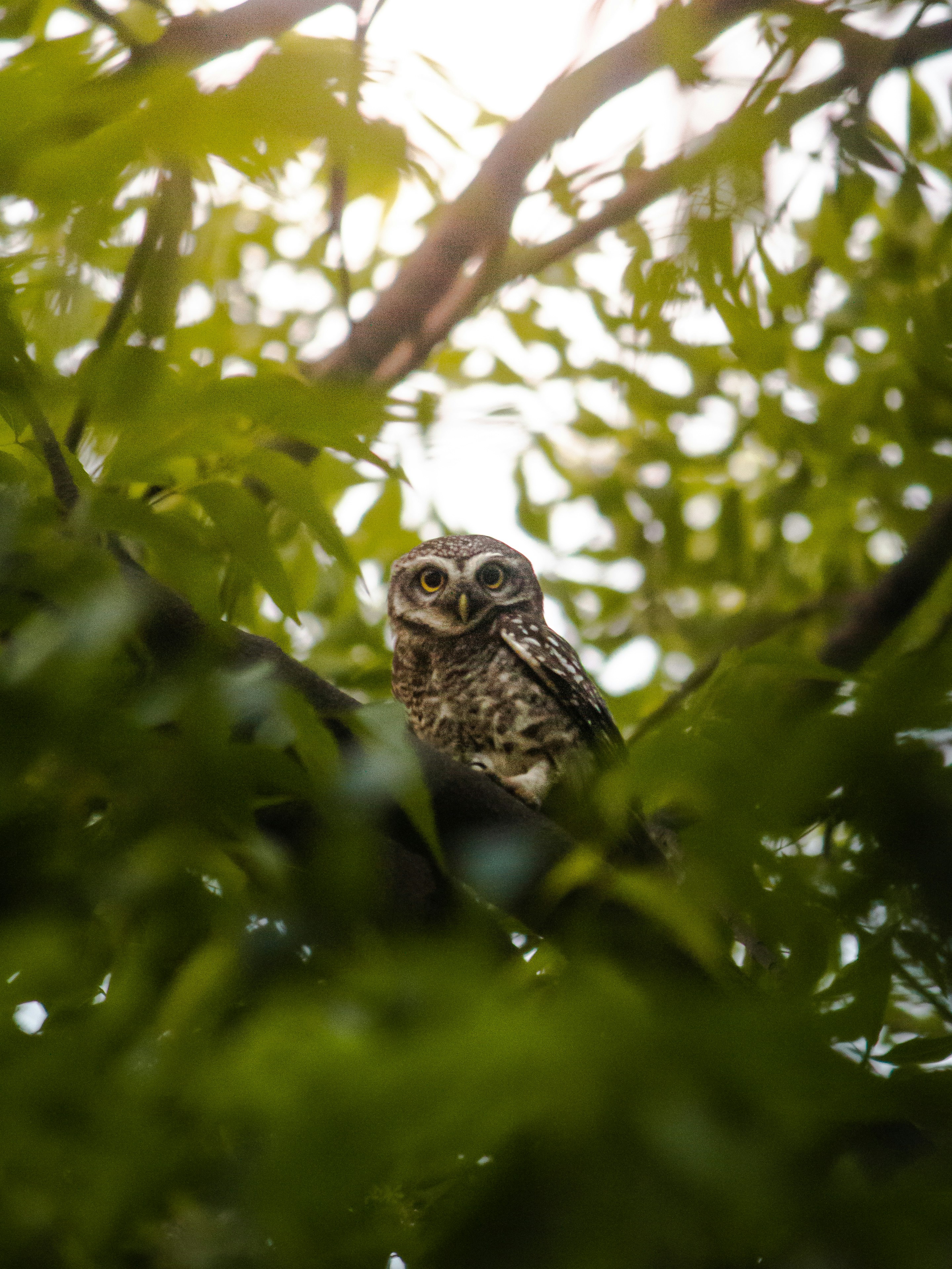 Photo by harshit_suryawanshi