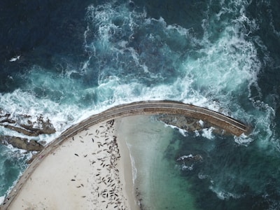 Engineers inspecting a newly installed seawall protecting a vulnerable beach.