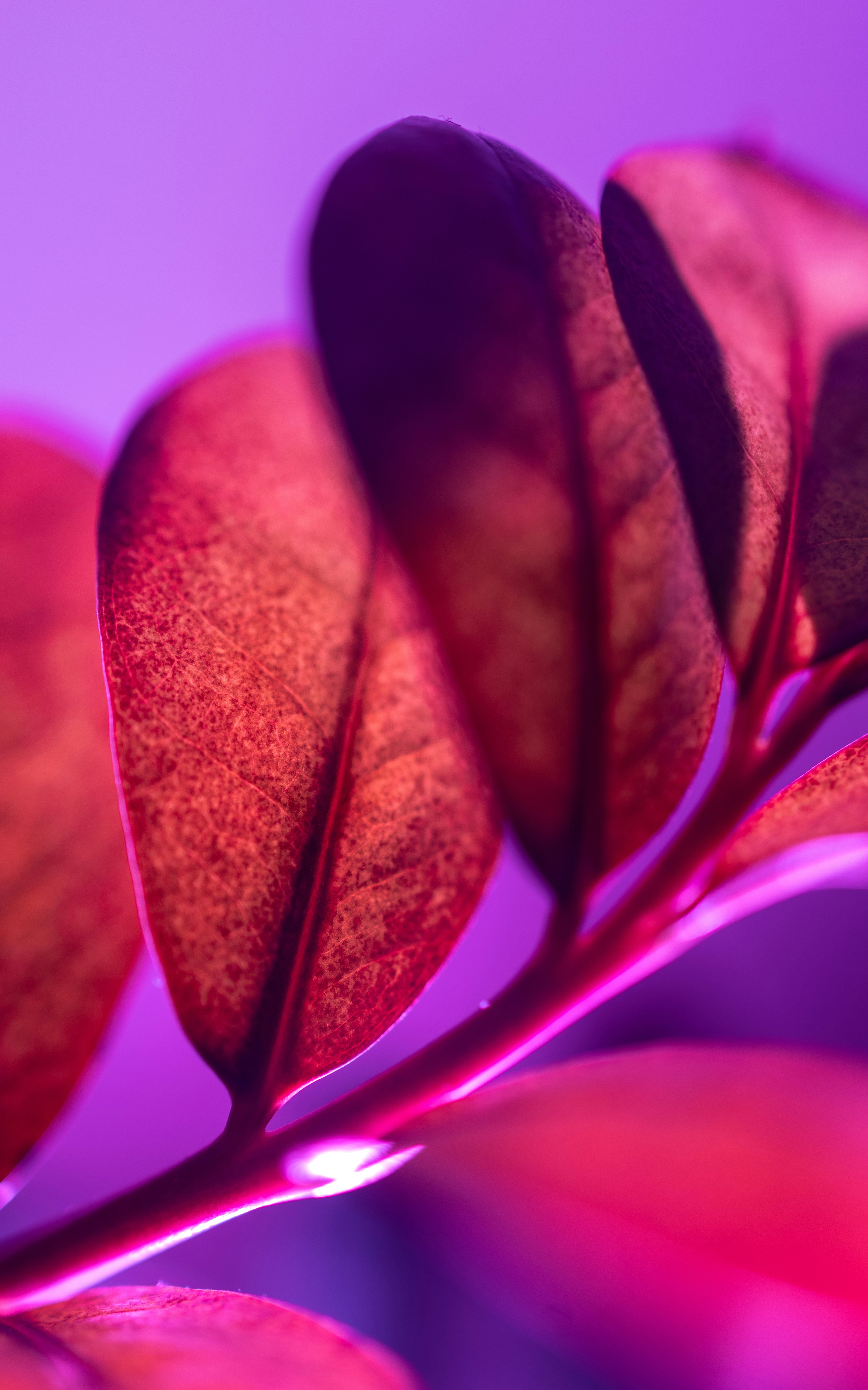 Photo by marekpiwnicki