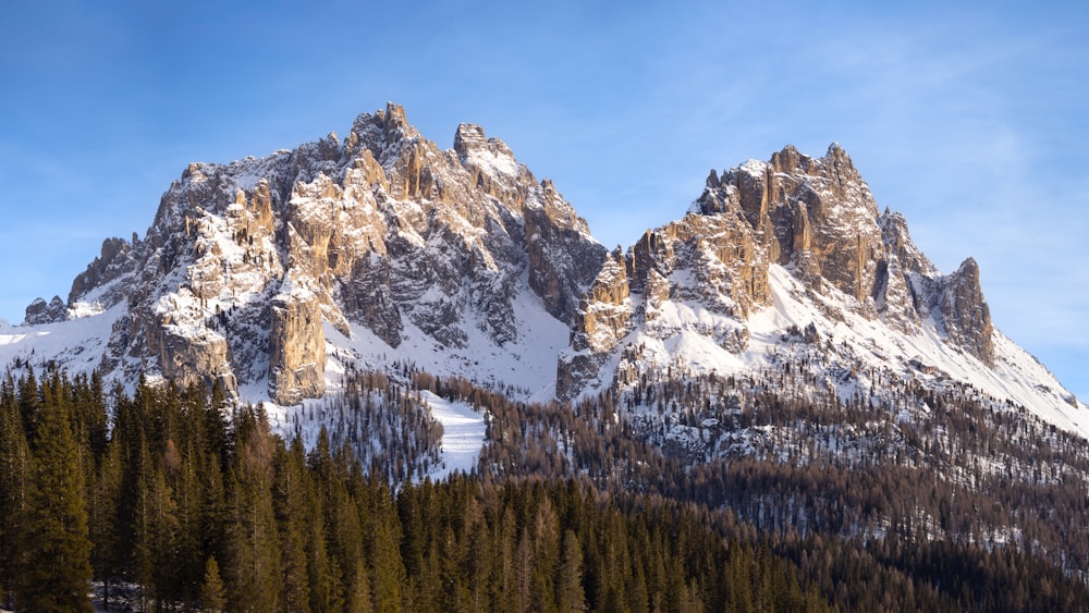 a snow covered mountain with pine trees in the foreground