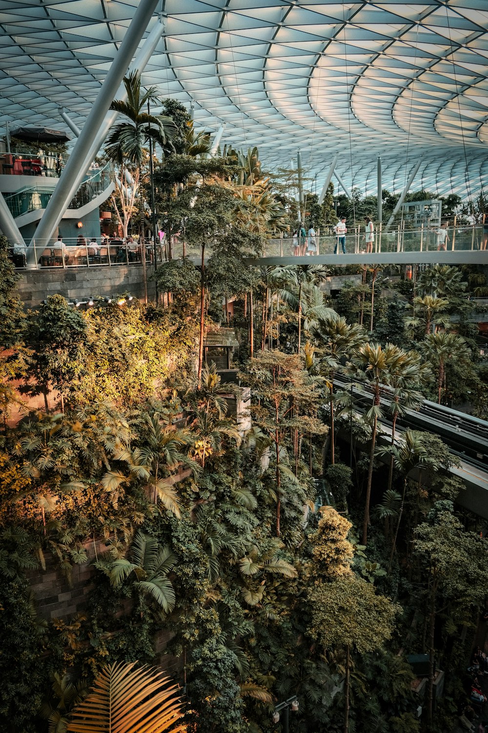 a view of a forest inside of a building