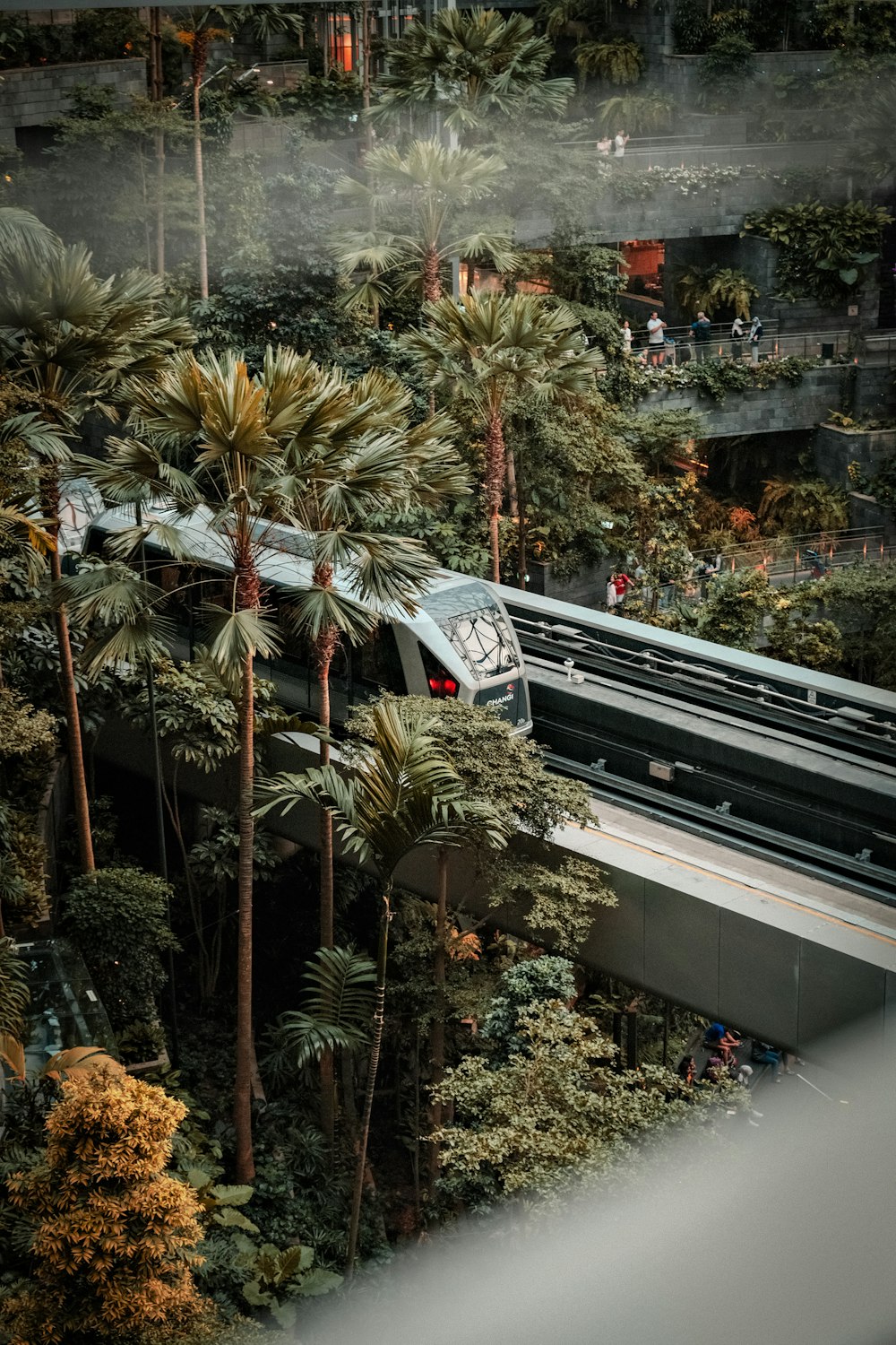 a train traveling through a lush green forest