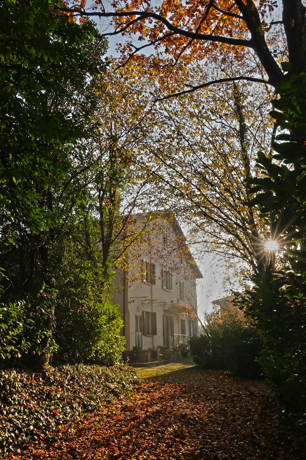 a white house surrounded by trees and leaves