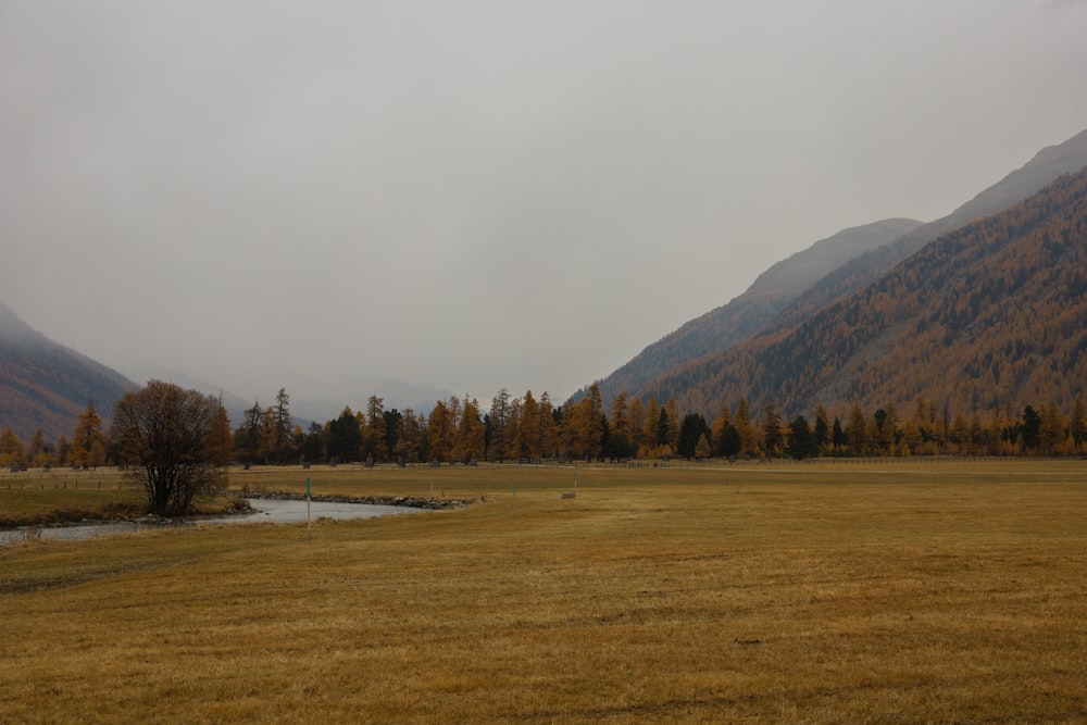 a grassy field with a stream running through it