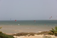 a group of people flying kites on top of a sandy beach