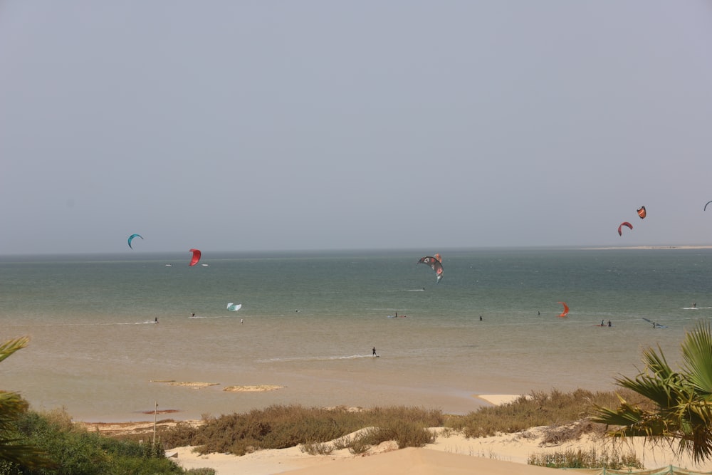 Un gruppo di persone che fanno volare aquiloni in cima a una spiaggia sabbiosa