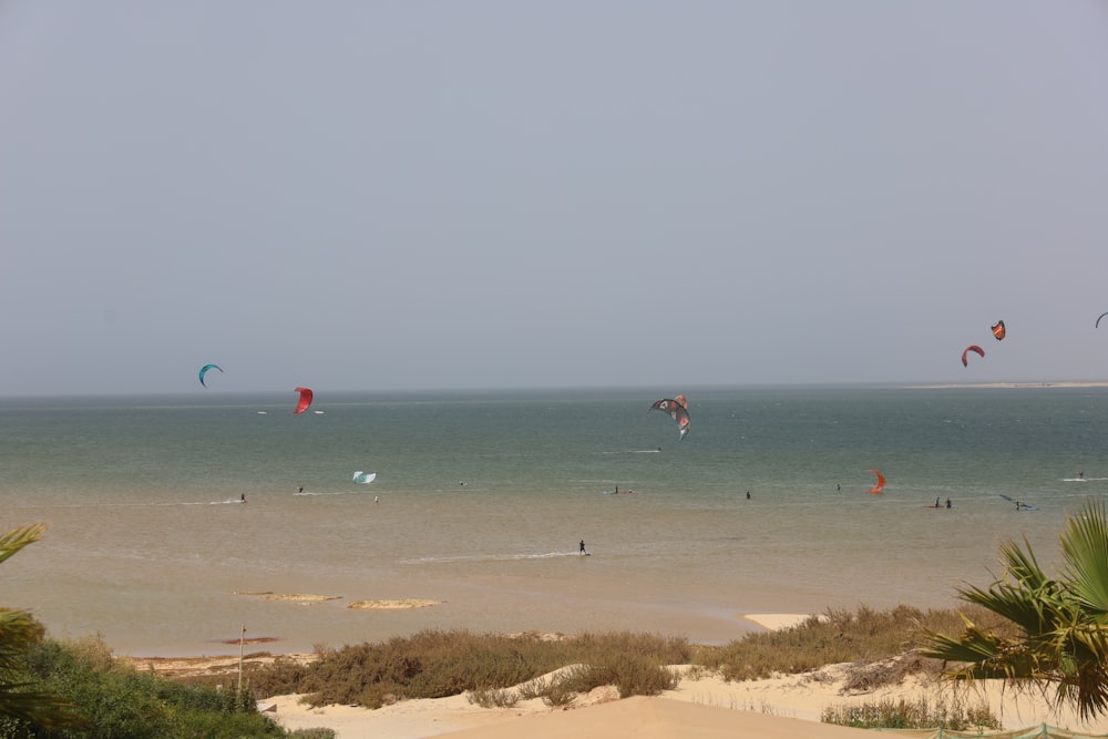 a group of people flying kites on top of a sandy beach