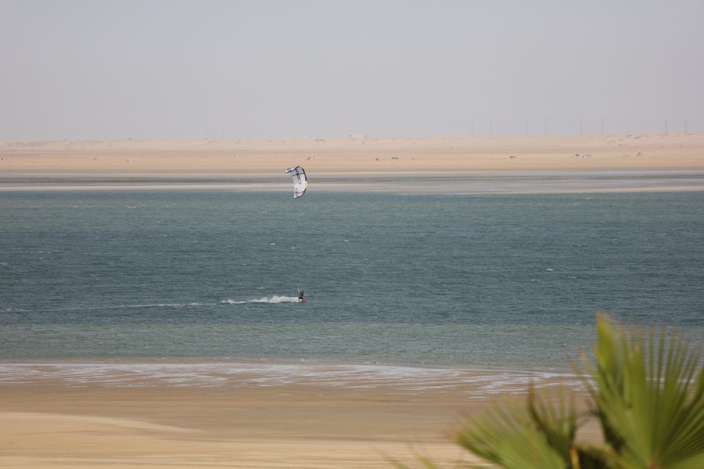 a person windsurfing in the ocean on a sunny day