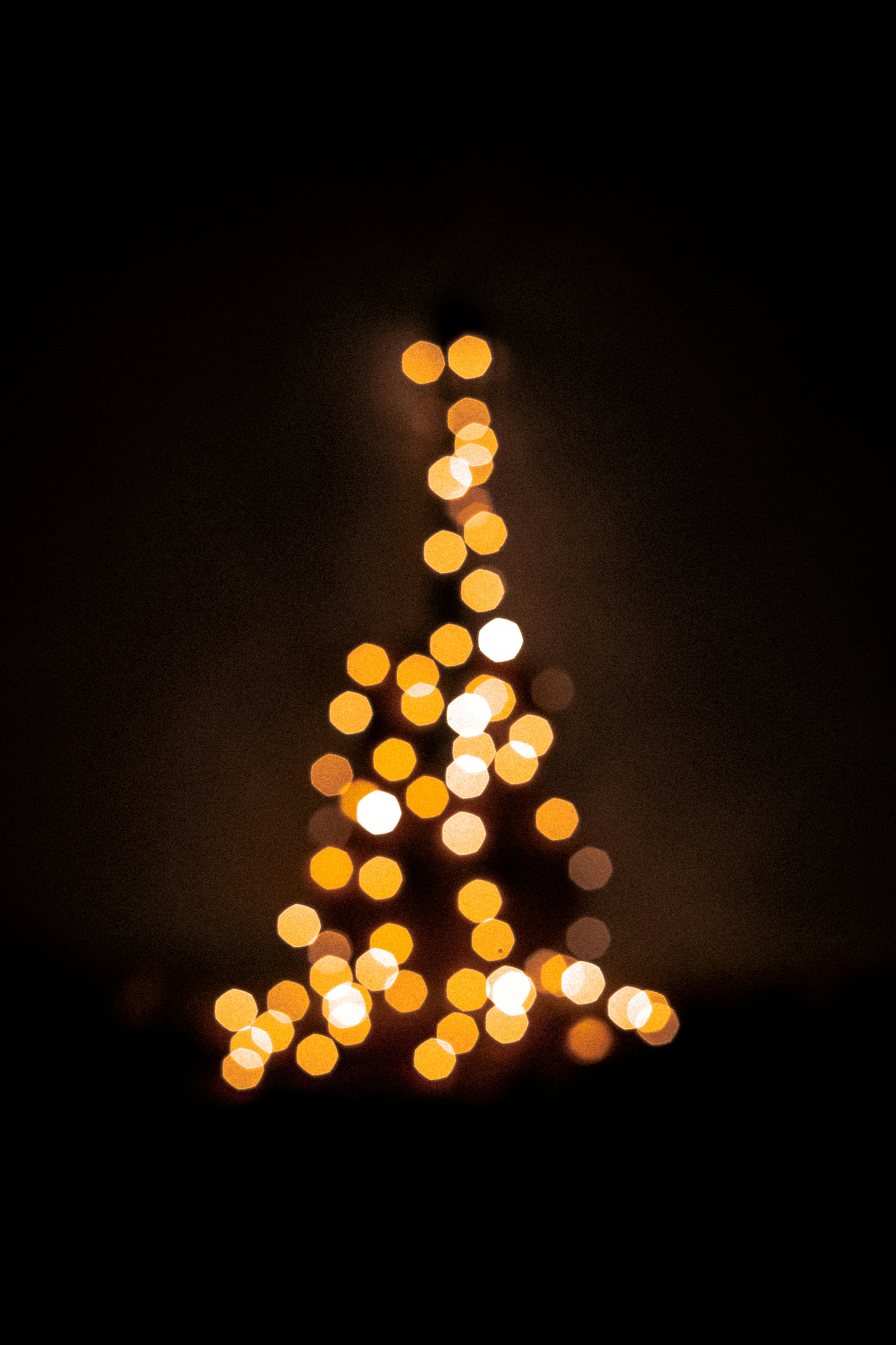 Photo by godwin_leones