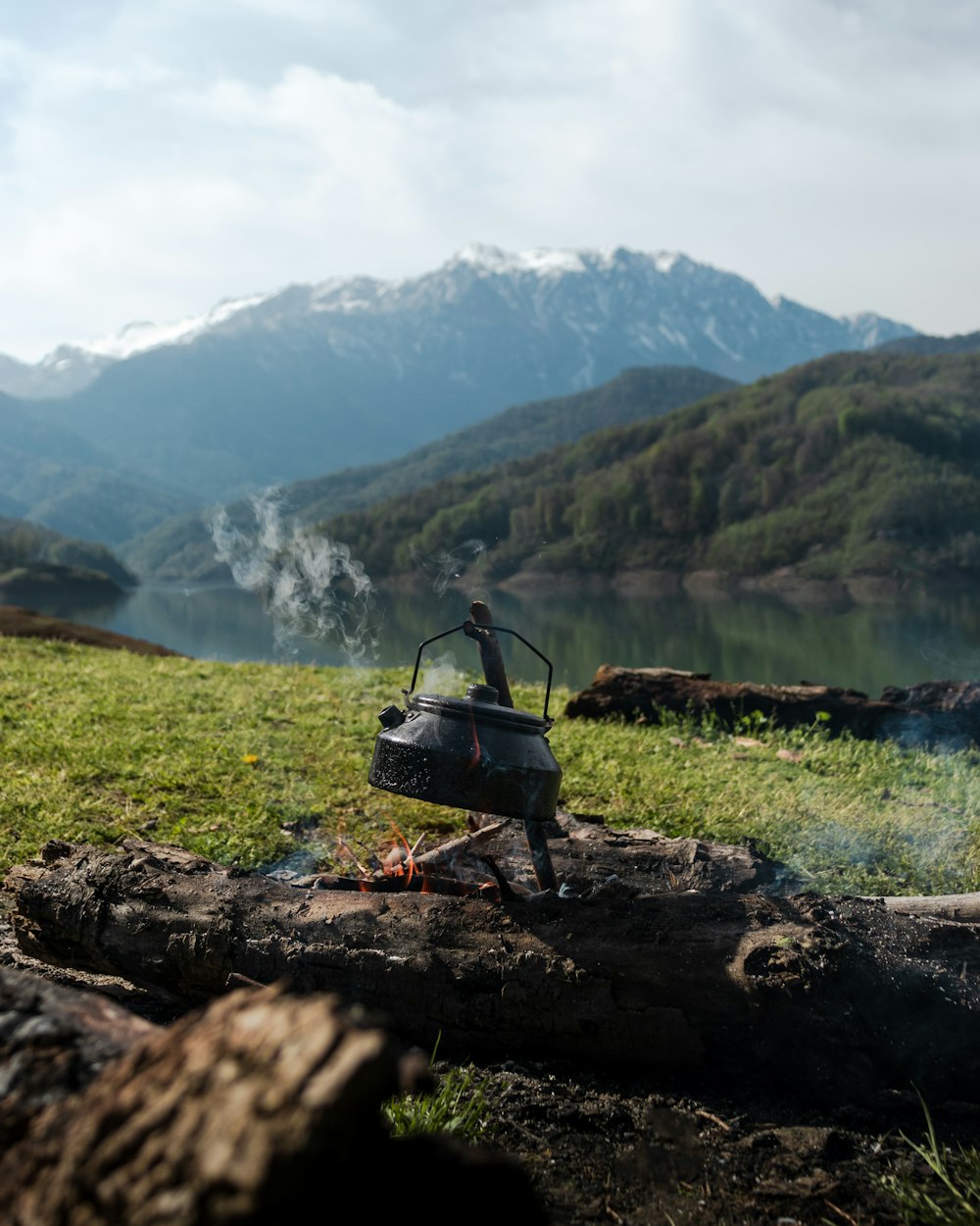 a person standing on top of a log next to a lake