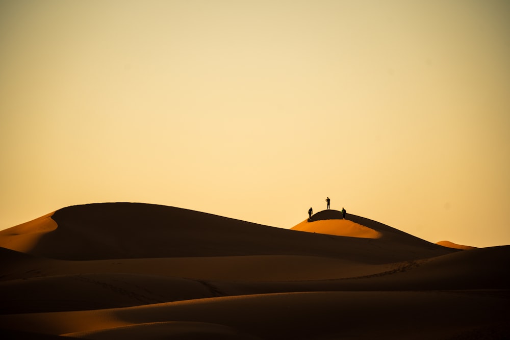 two people standing on top of a sand dune