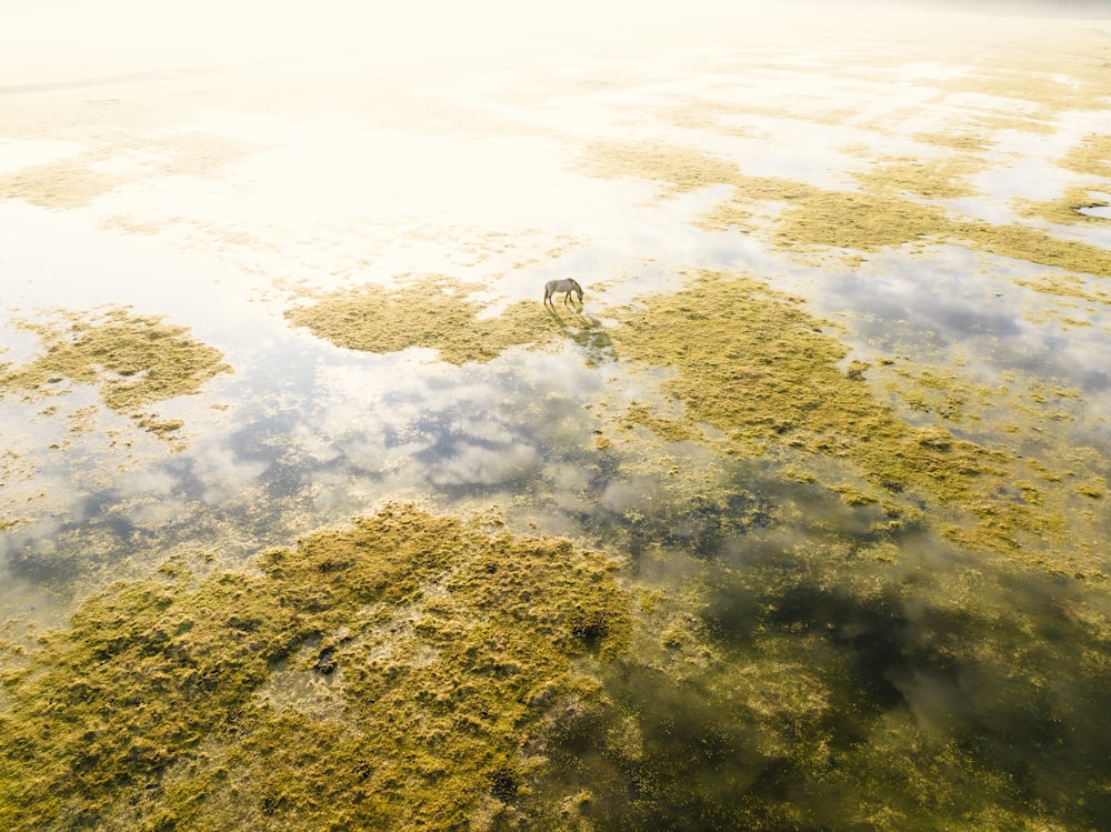 a large body of water surrounded by land