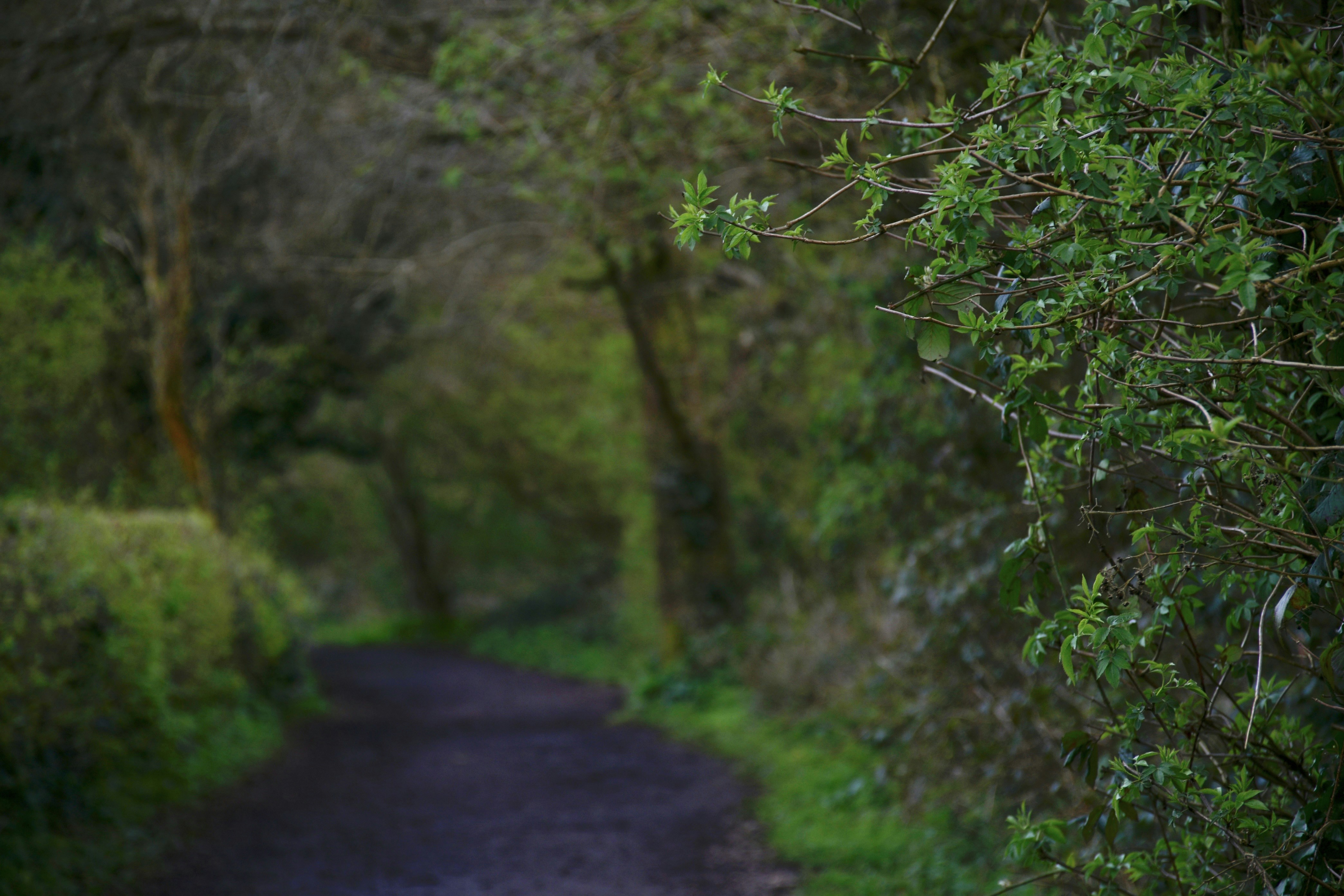 Photo by wrishi2004m