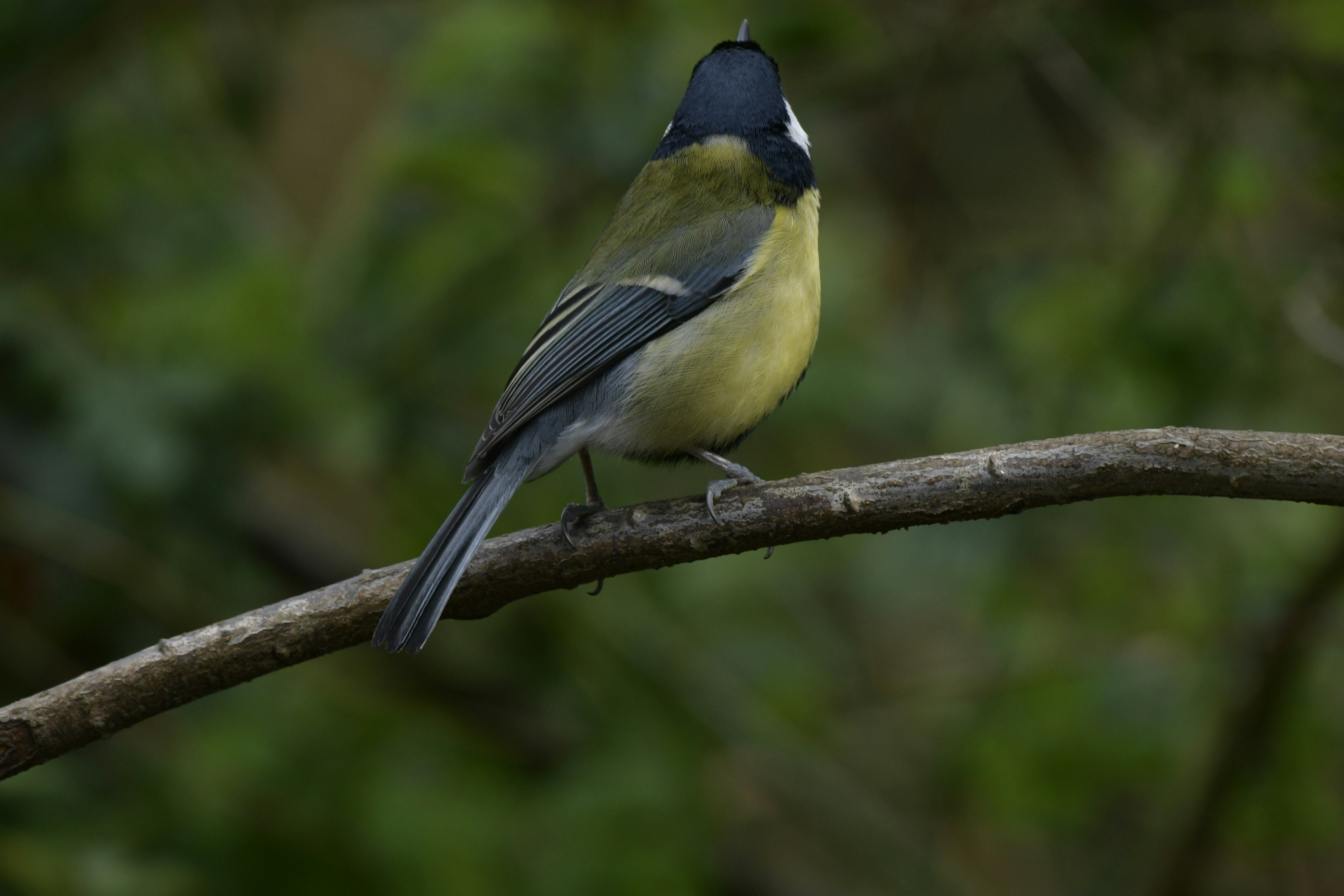 Photo by wrishi2004m