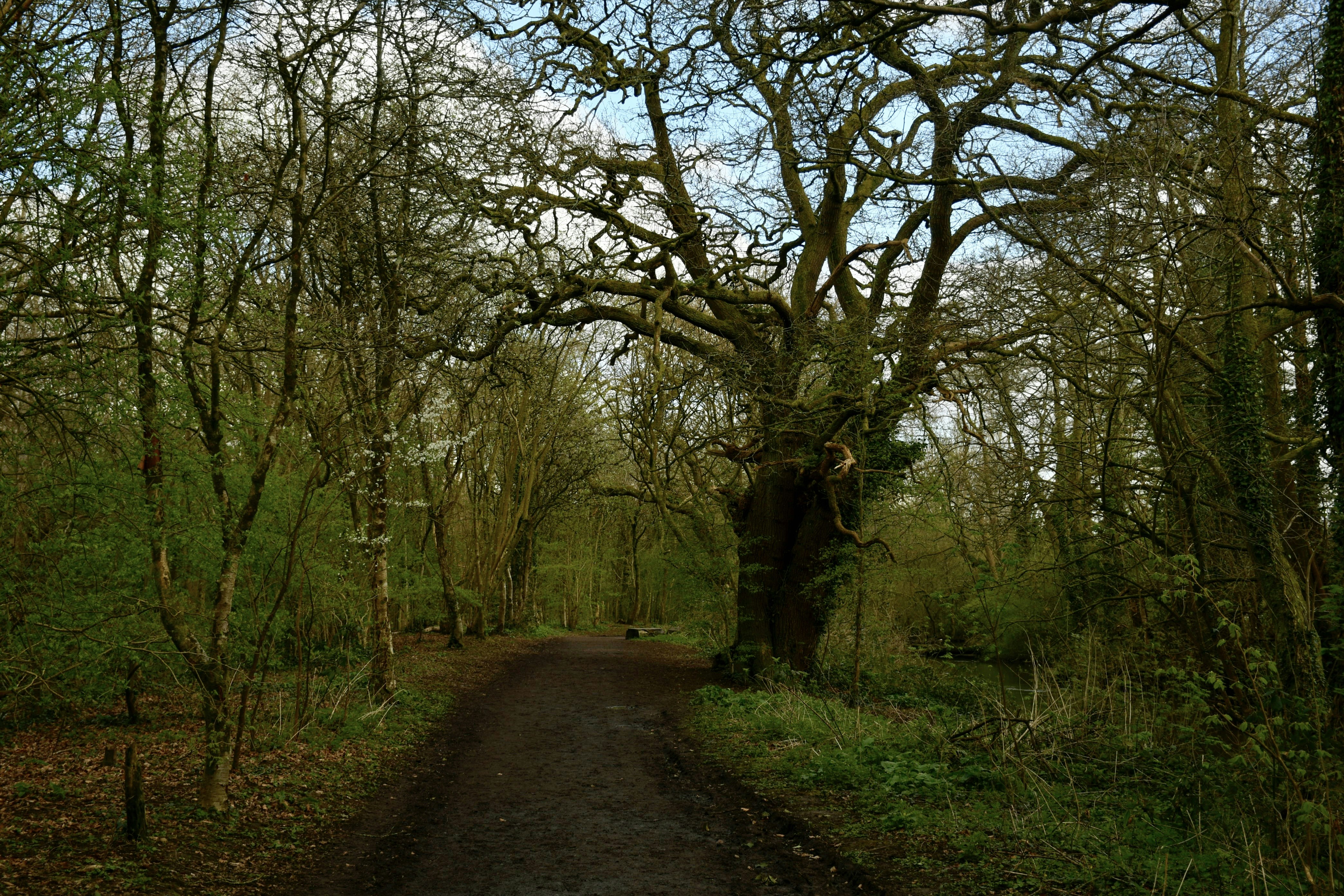 Photo by wrishi2004m