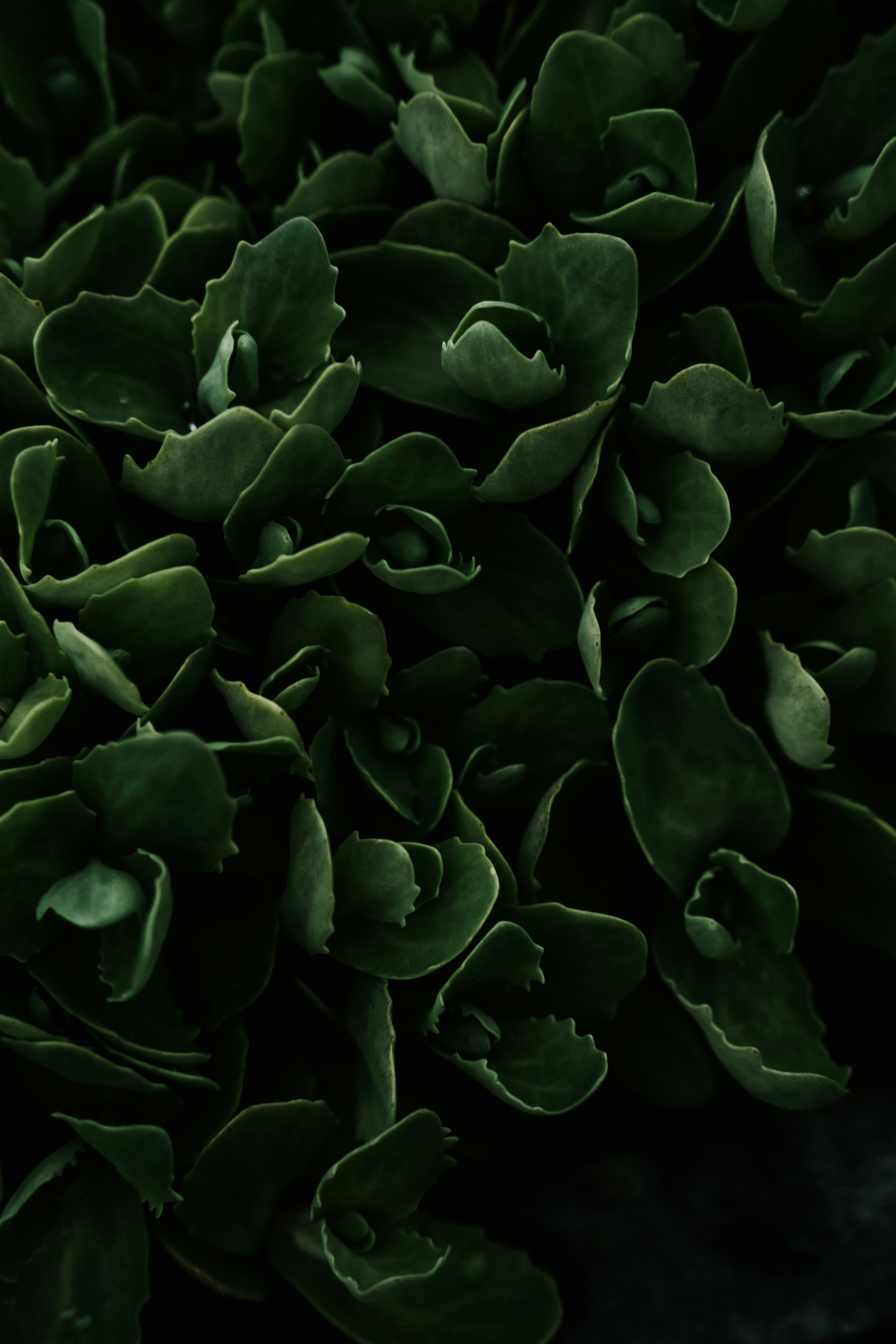 Photo by virussinside