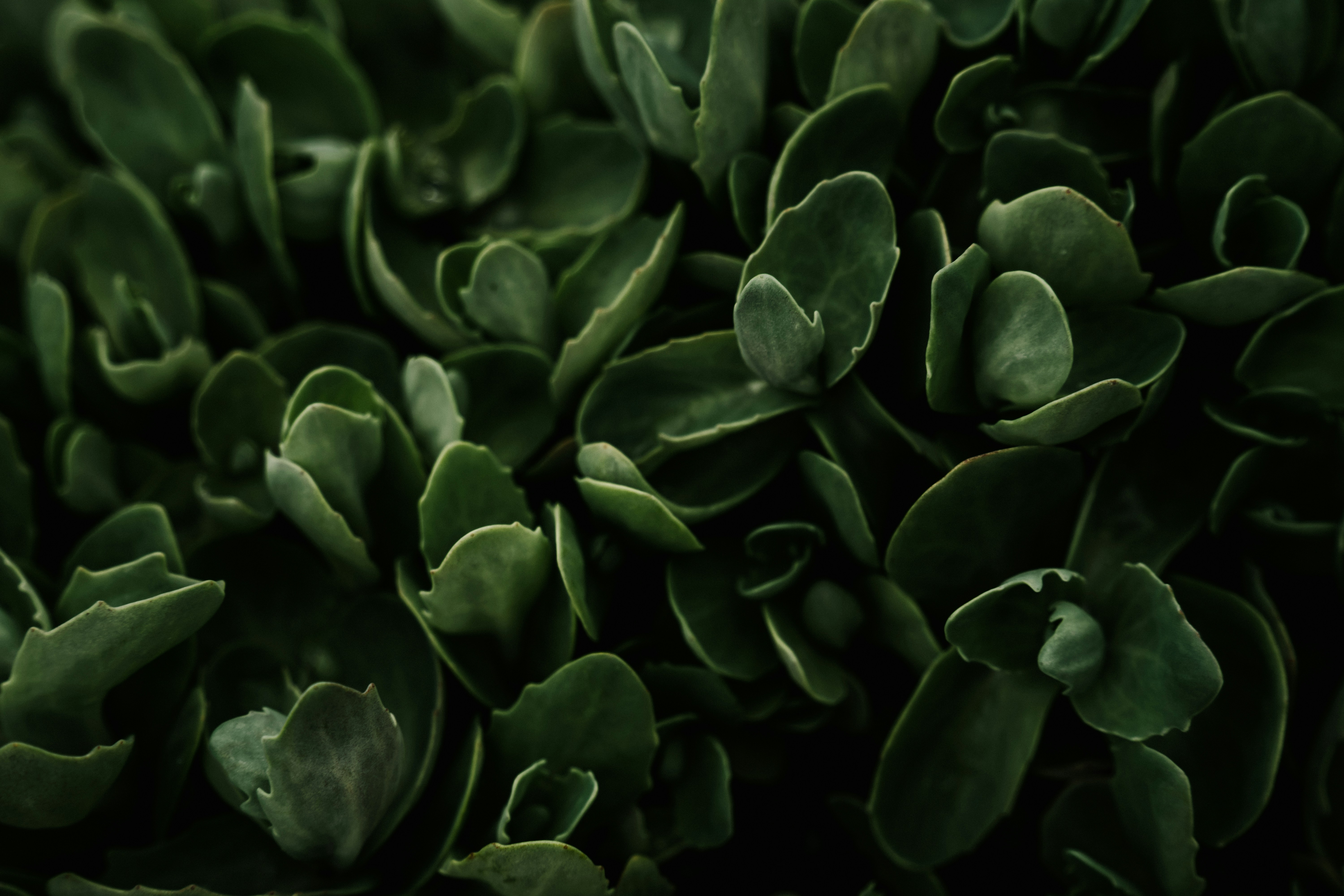 Photo by virussinside