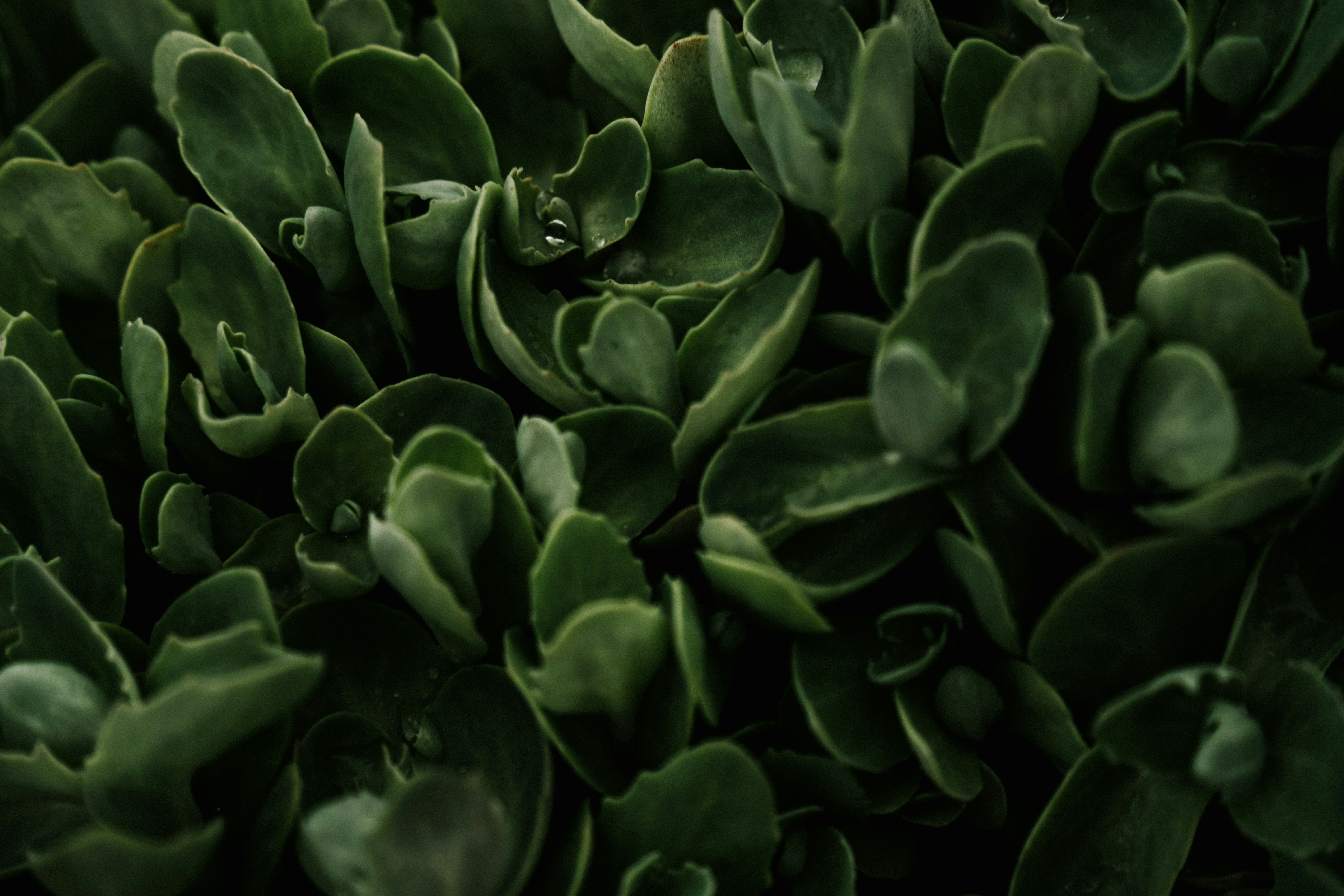 Photo by virussinside