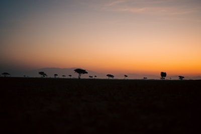 A serene South African landscape at sunset symbolizing peace and new beginnings.