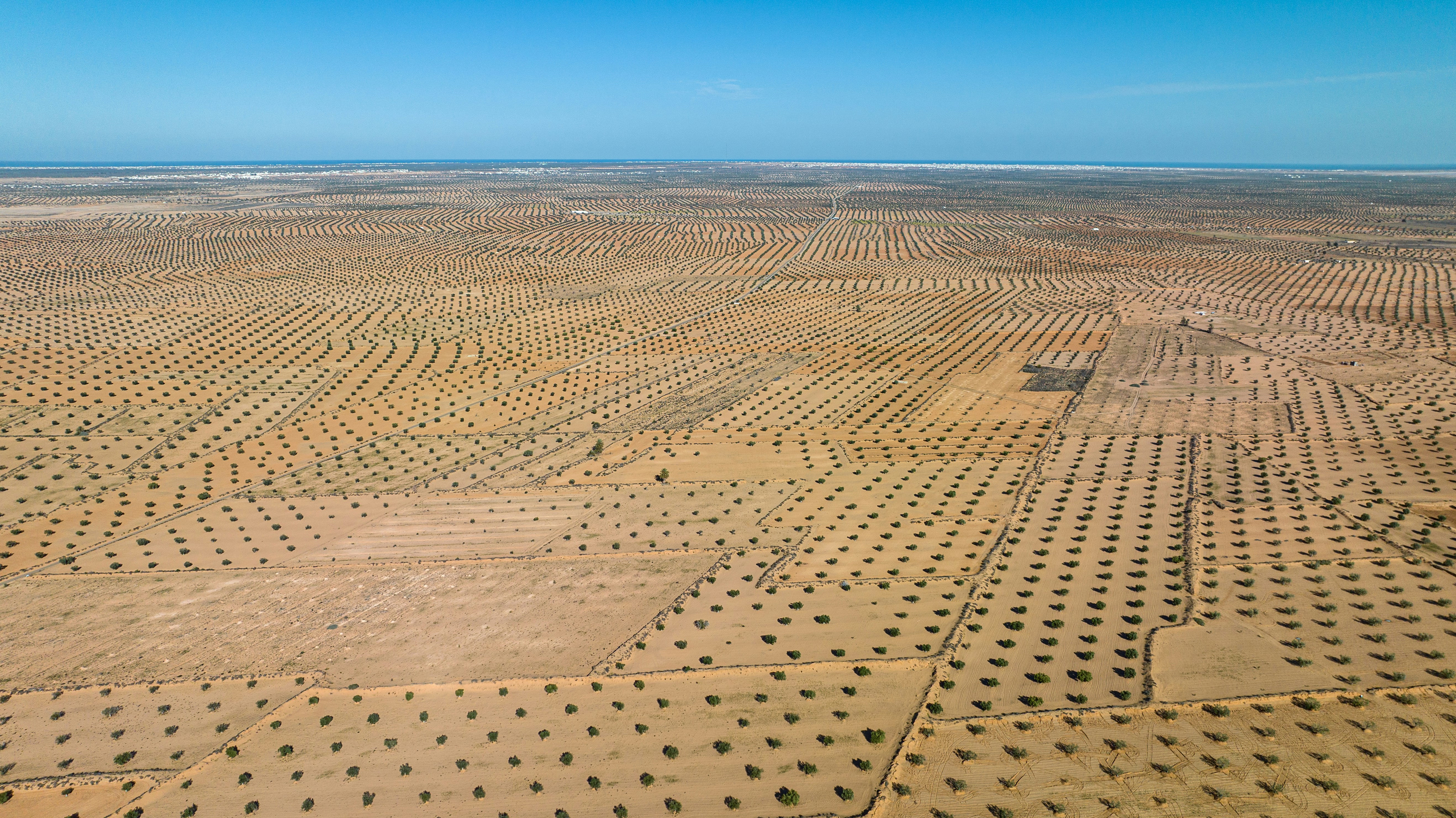 Solar Panels Could Trigger a Green Revolution (image credits: unsplash)