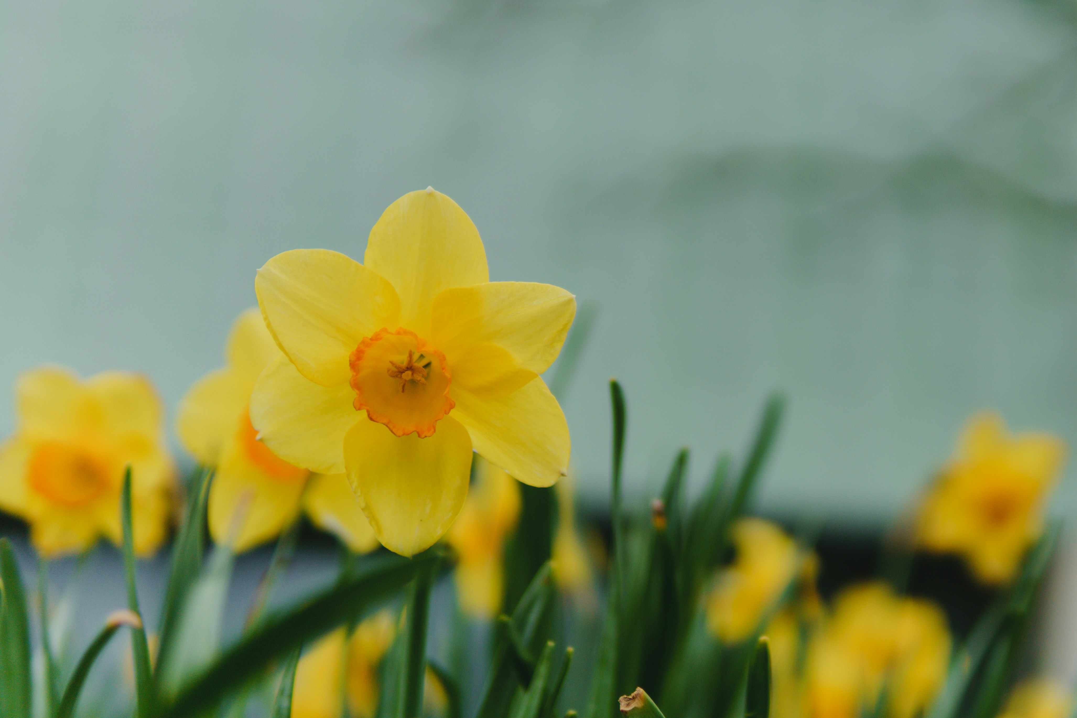 Afbeelding van Eindhoven