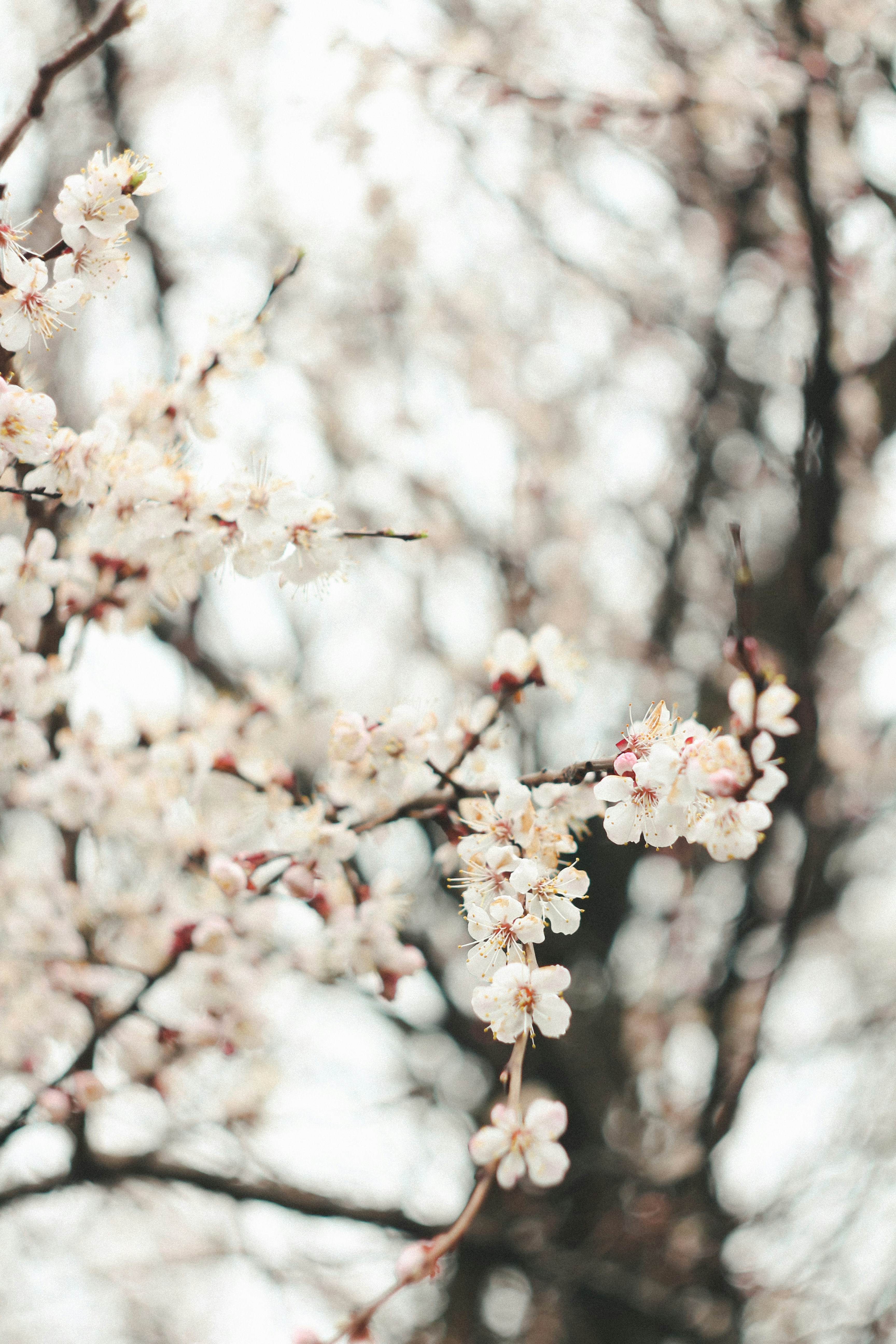 Photo by juliabutsykina