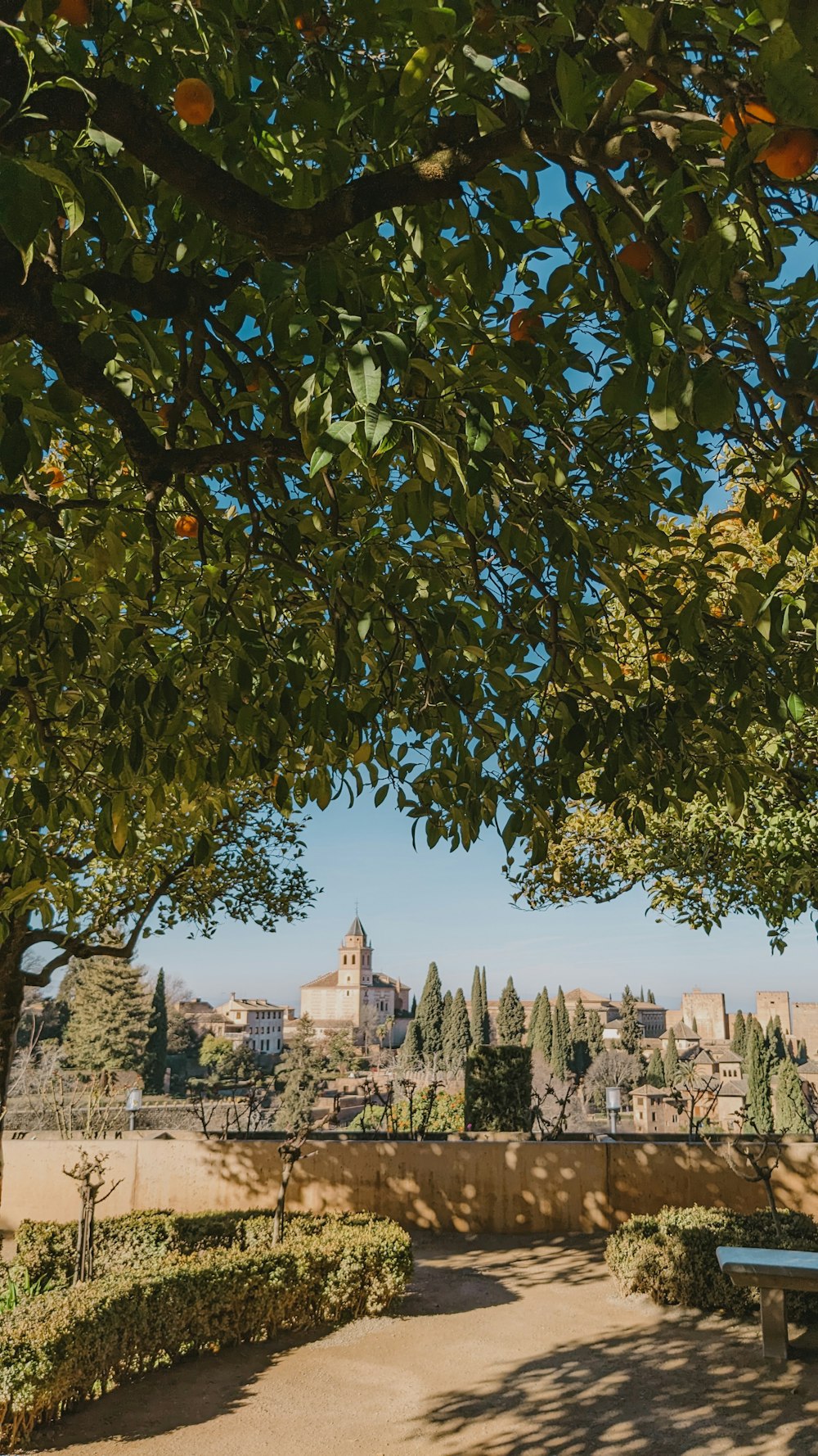 a bench under a tree in a park