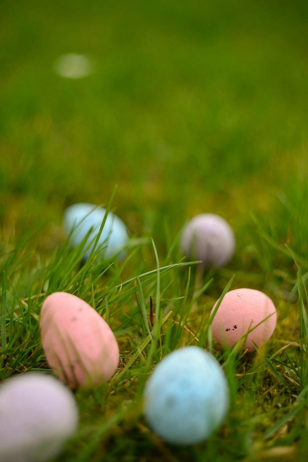 a bunch of eggs that are in the grass