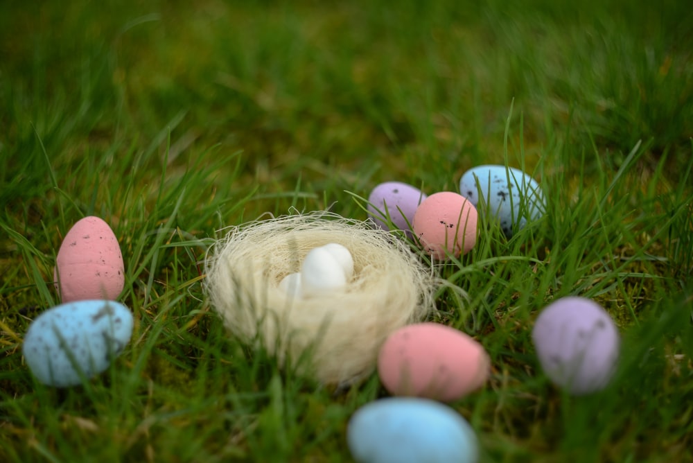 a group of small eggs sitting in the grass