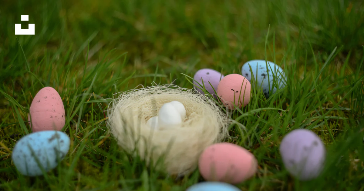 A group of small eggs sitting in the grass photo – Free Egg Image on ...